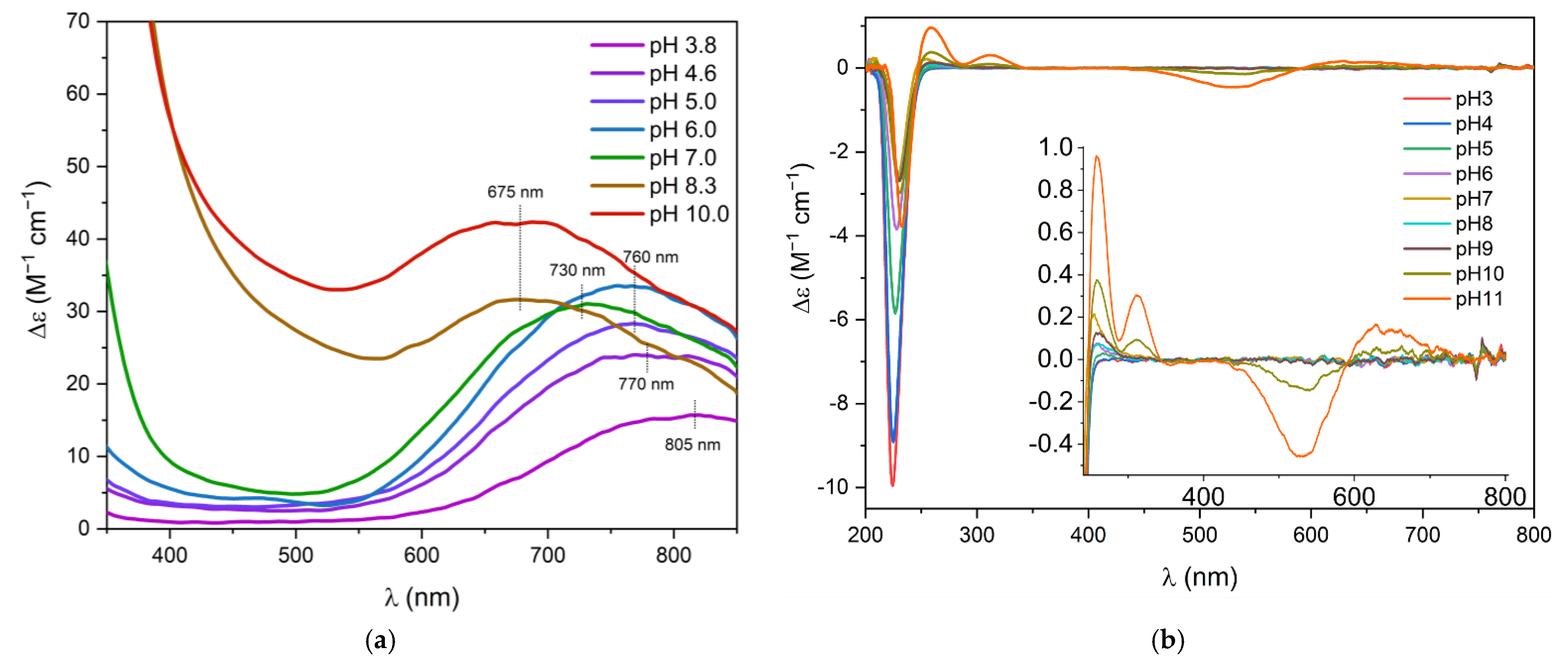 Biomolecules 12 00121 g003 Biomolecules 12 00121 g003