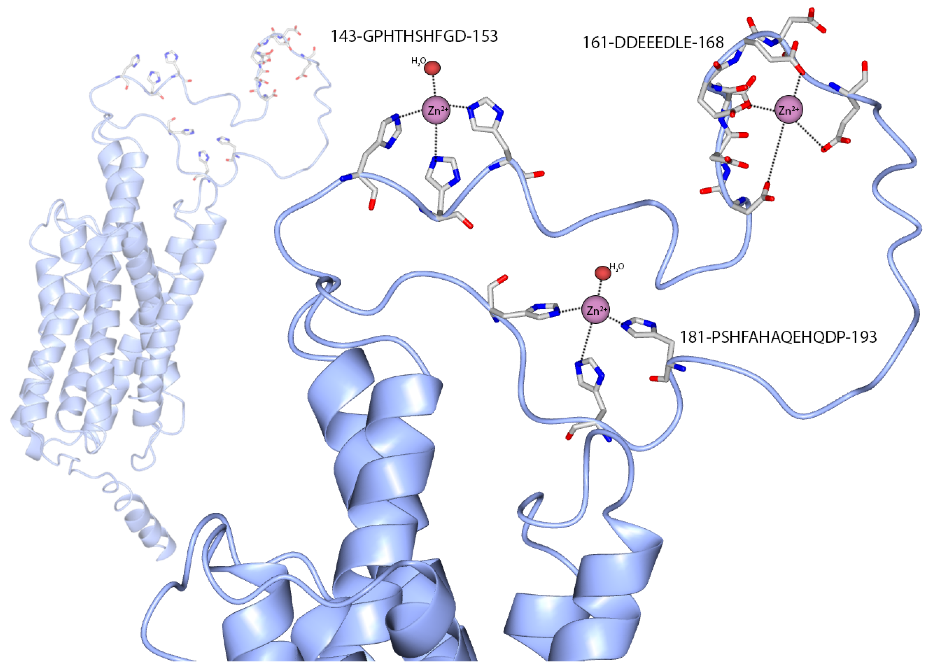 Biomolecules 12 00121 g008 Biomolecules 12 00121 g008