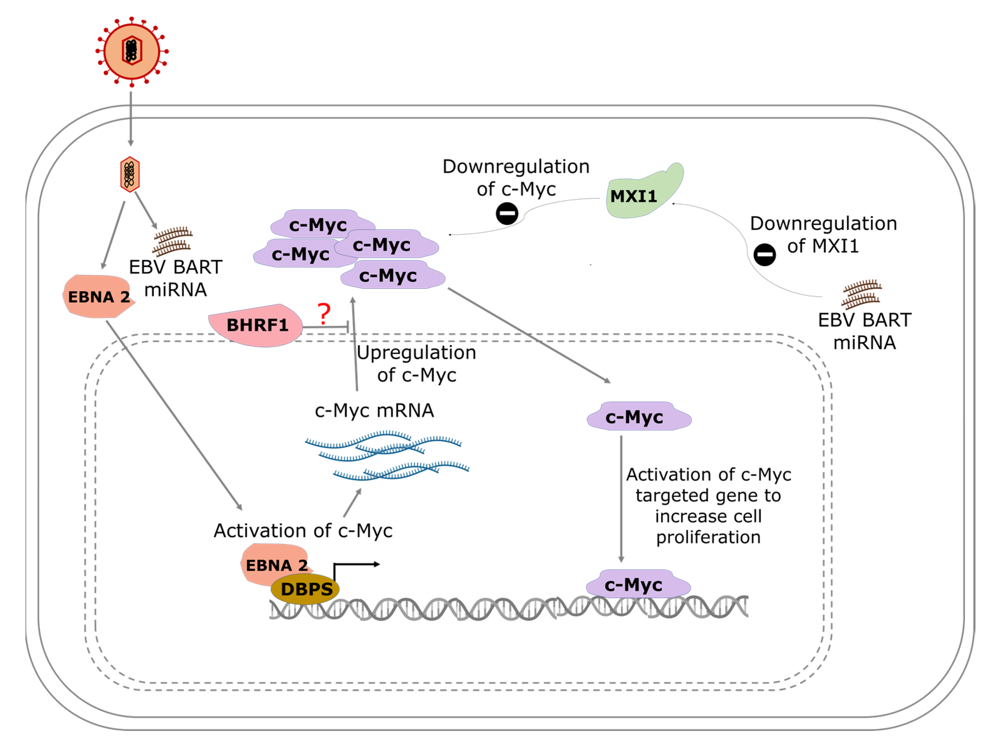 Biomolecules 12 00127 g001