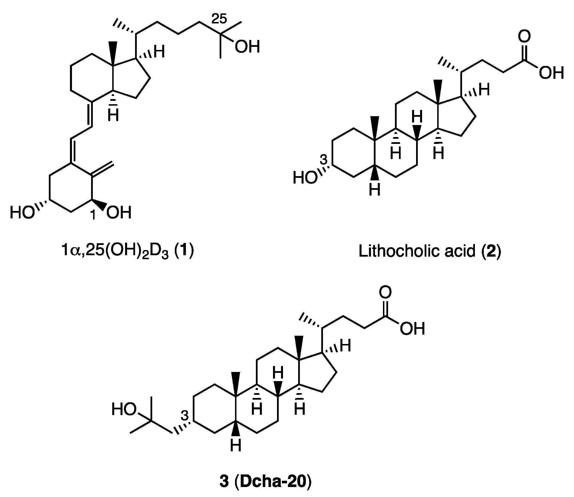 Biomolecules 12 00130 g001