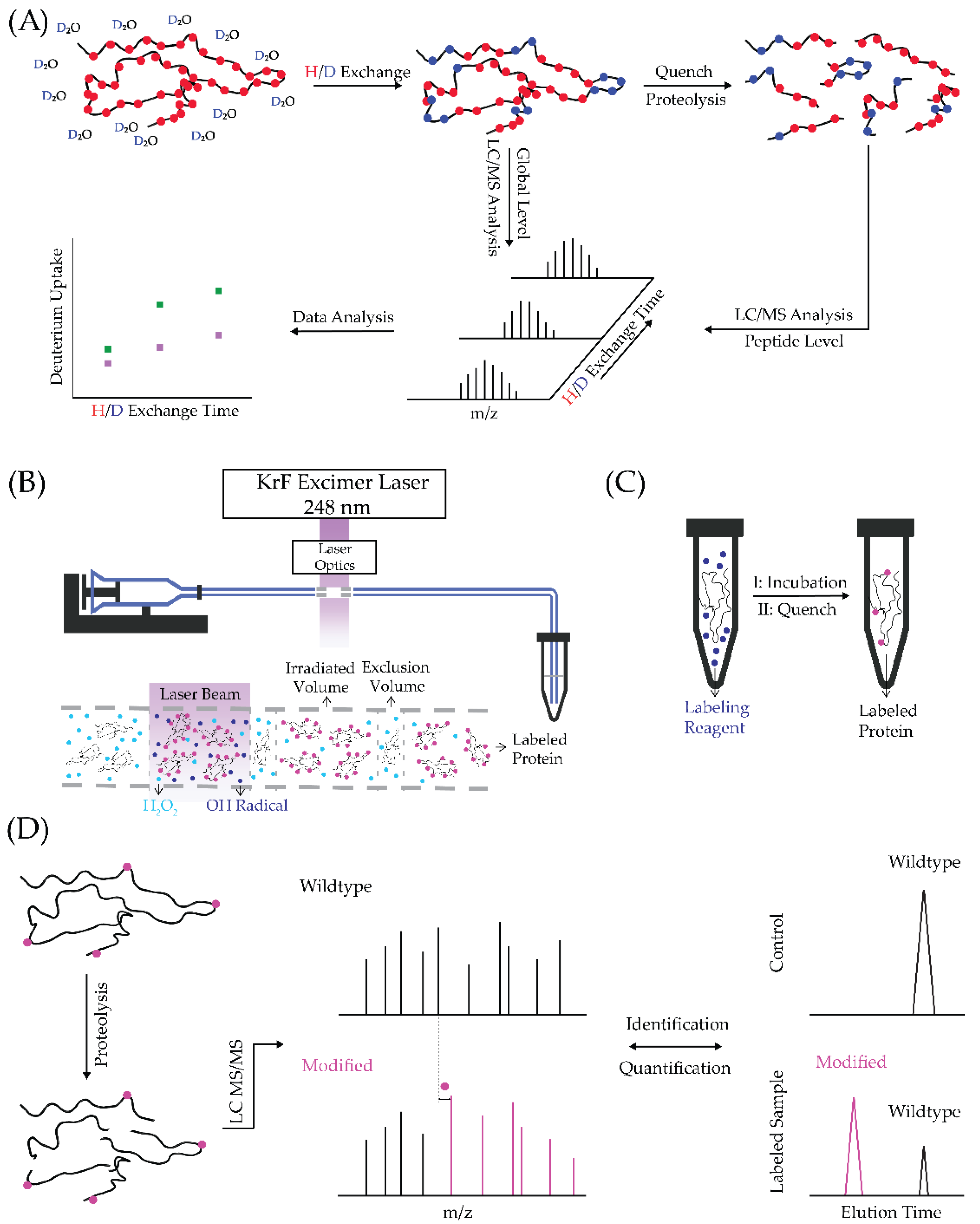 Biomolecules 12 00135 g001