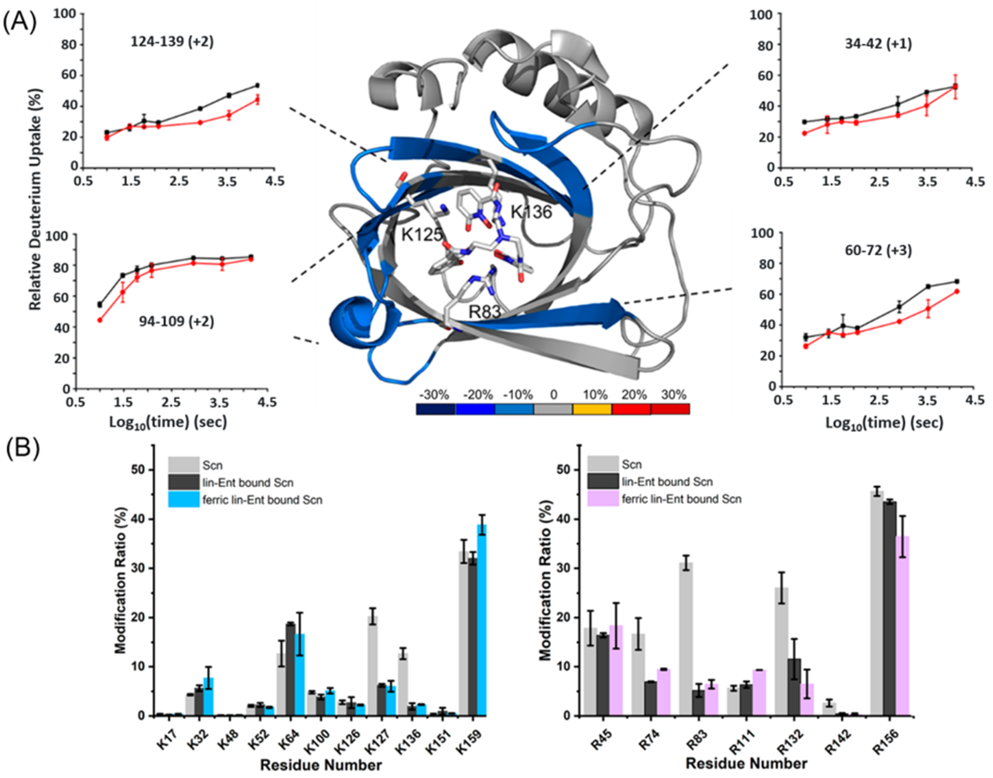 Biomolecules 12 00135 g003