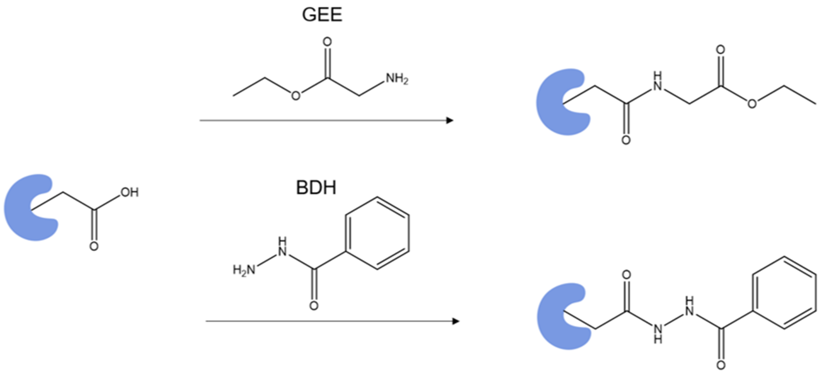 Biomolecules 12 00135 sch001