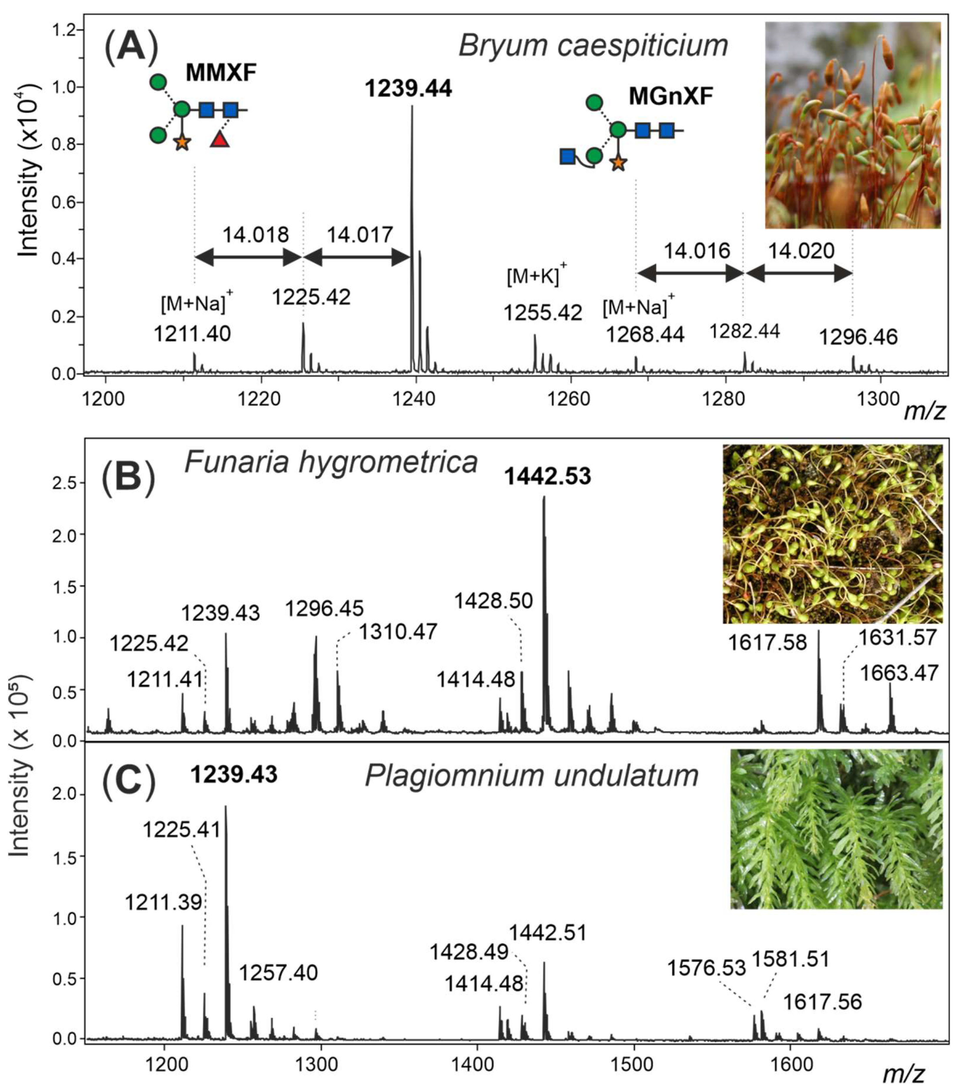 Biomolecules 12 00136 g001