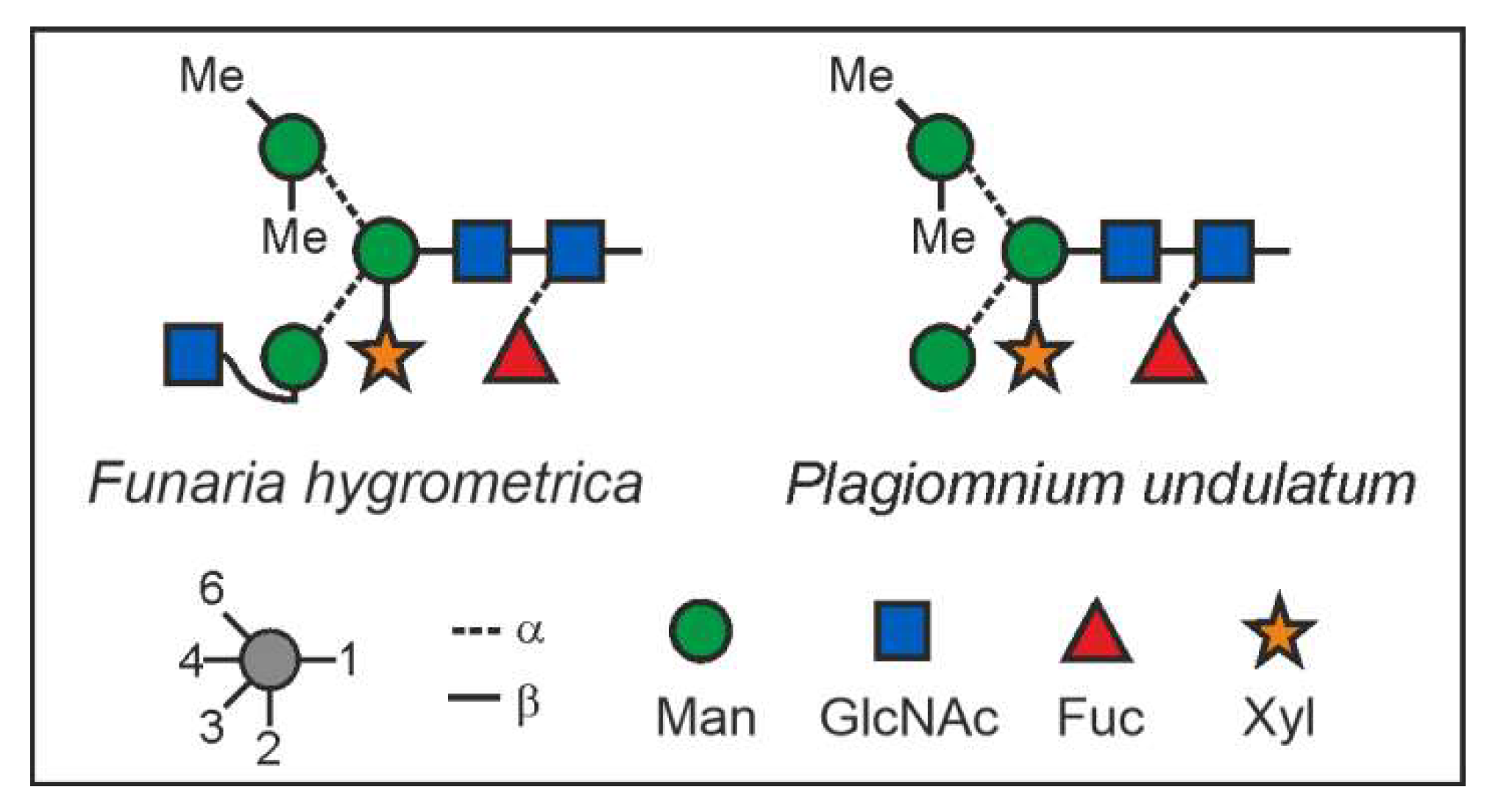 Biomolecules 12 00136 g004