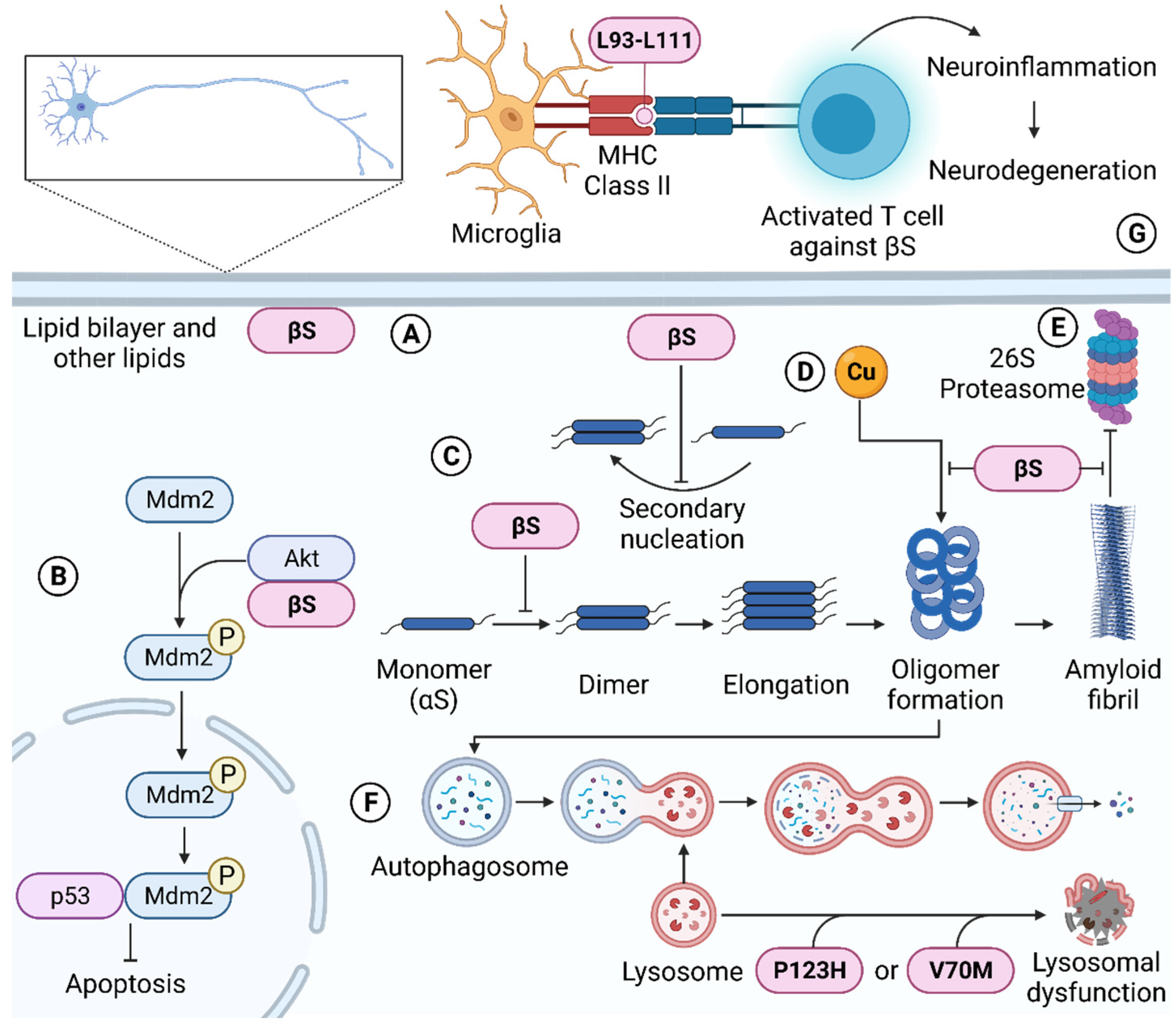 Biomolecules 12 00142 g003