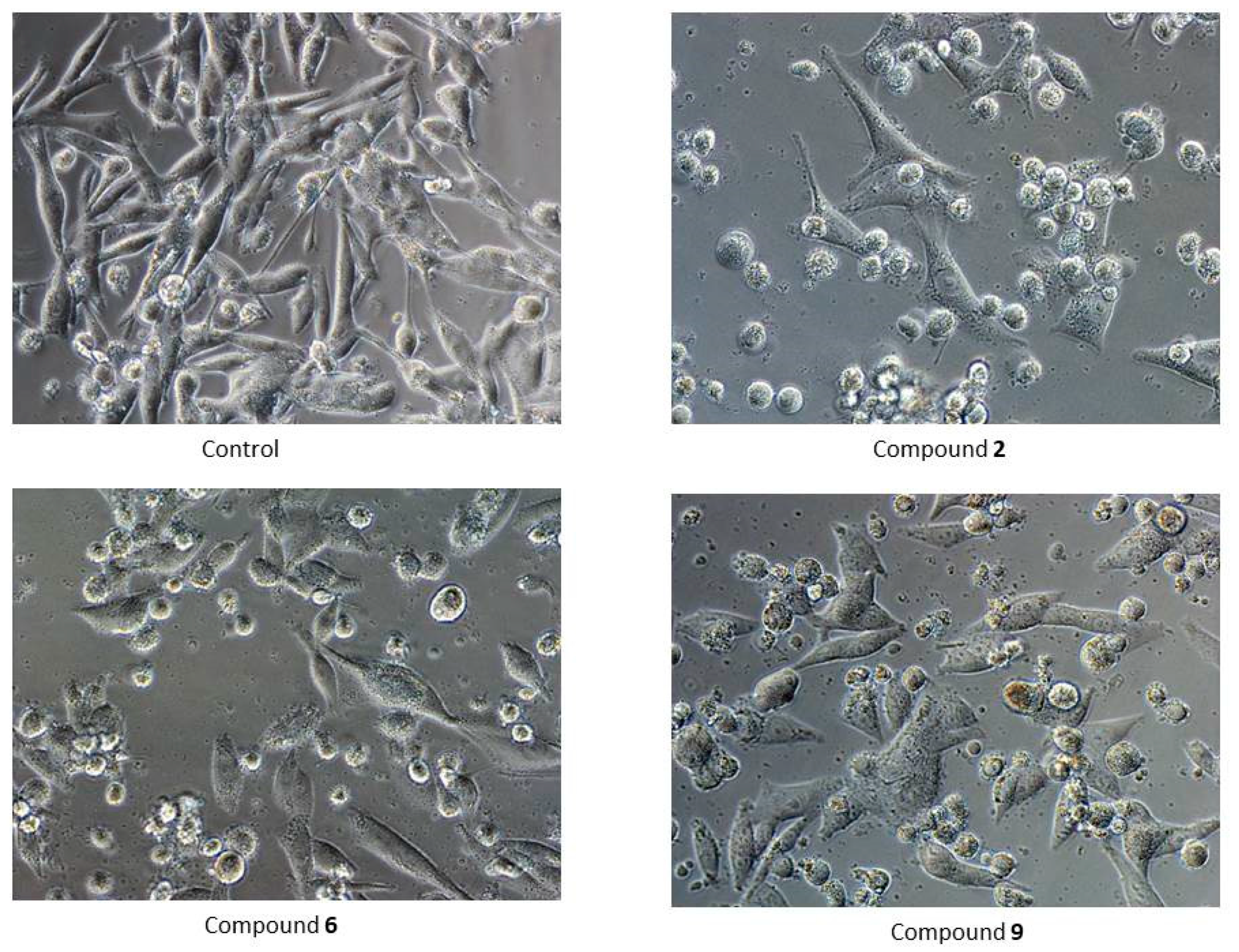 Biomolecules 12 00151 g004