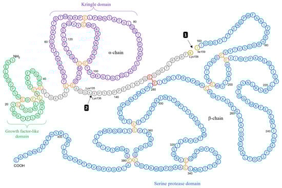 Biomolecules 12 00152 g002
