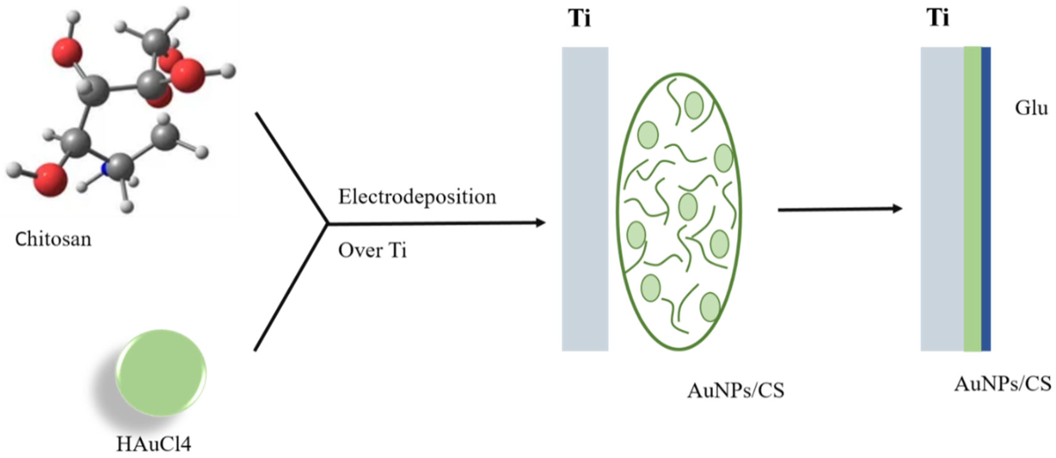 Biomolecules 12 00155 g003