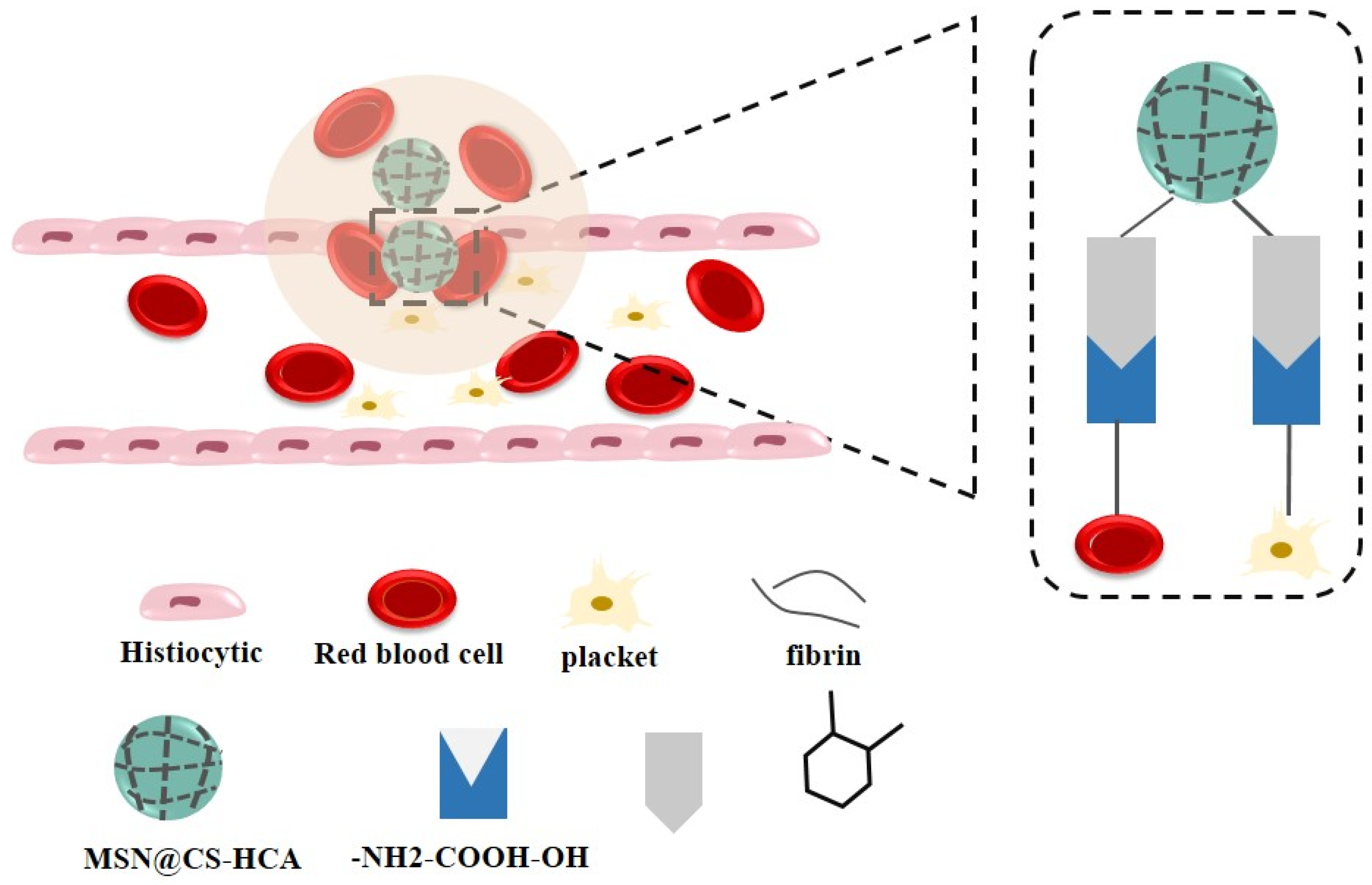 Biomolecules 12 00155 g005