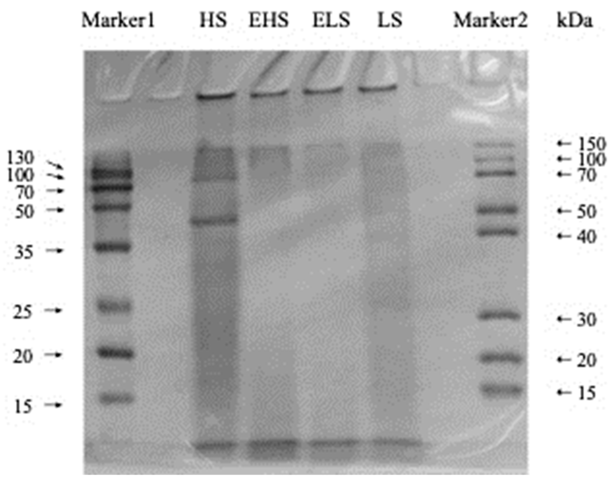 Biomolecules 12 00161 g002