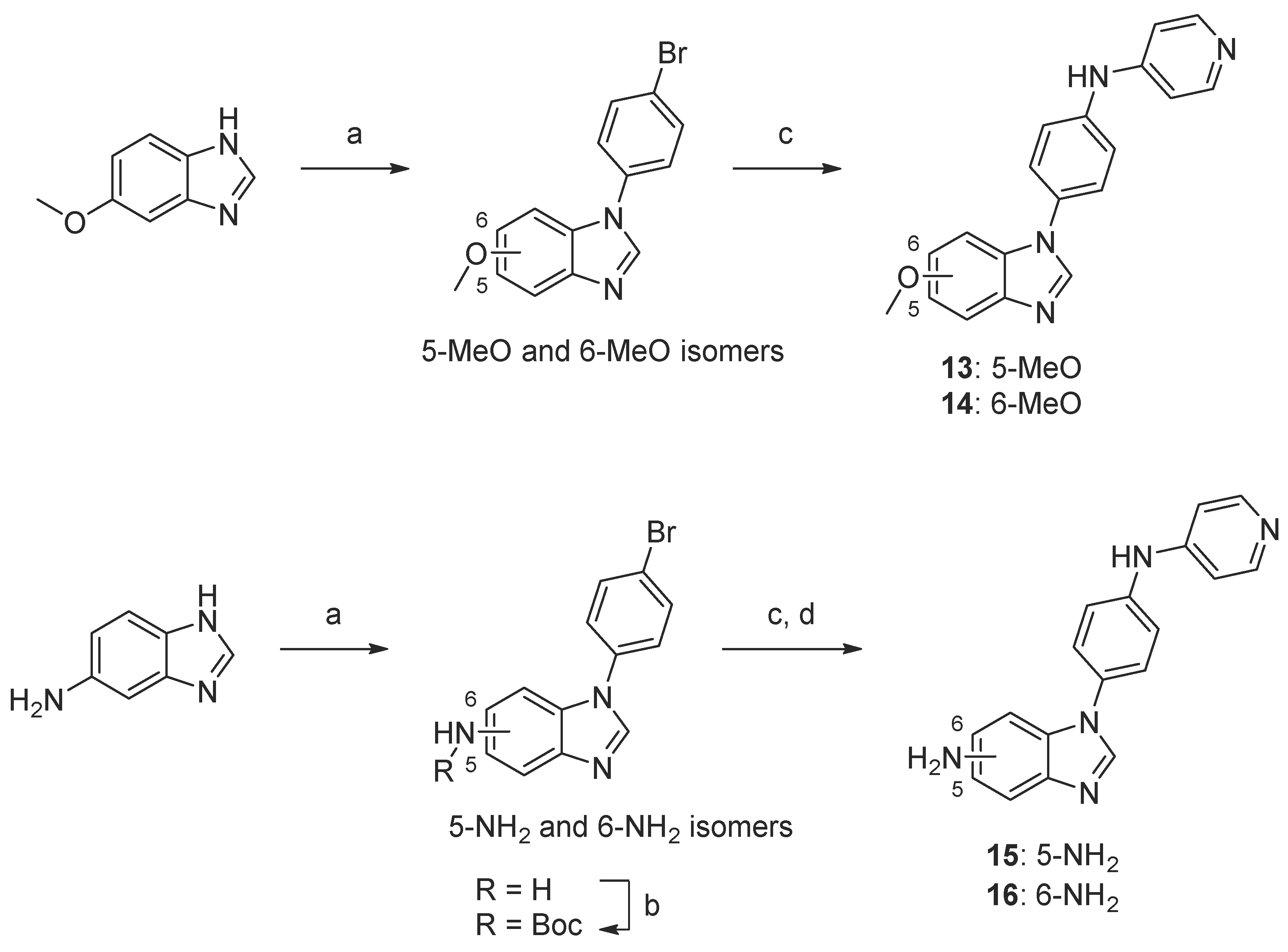 Biomolecules 12 00165 sch004