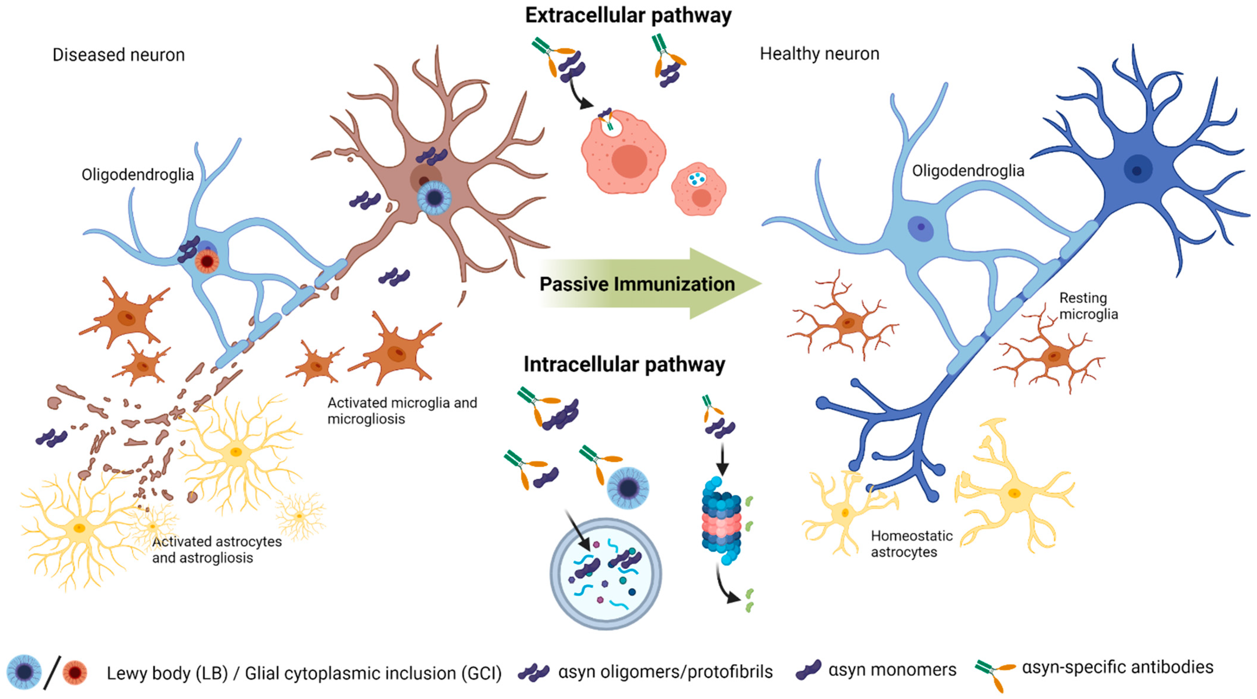 Biomolecules 12 00168 g001