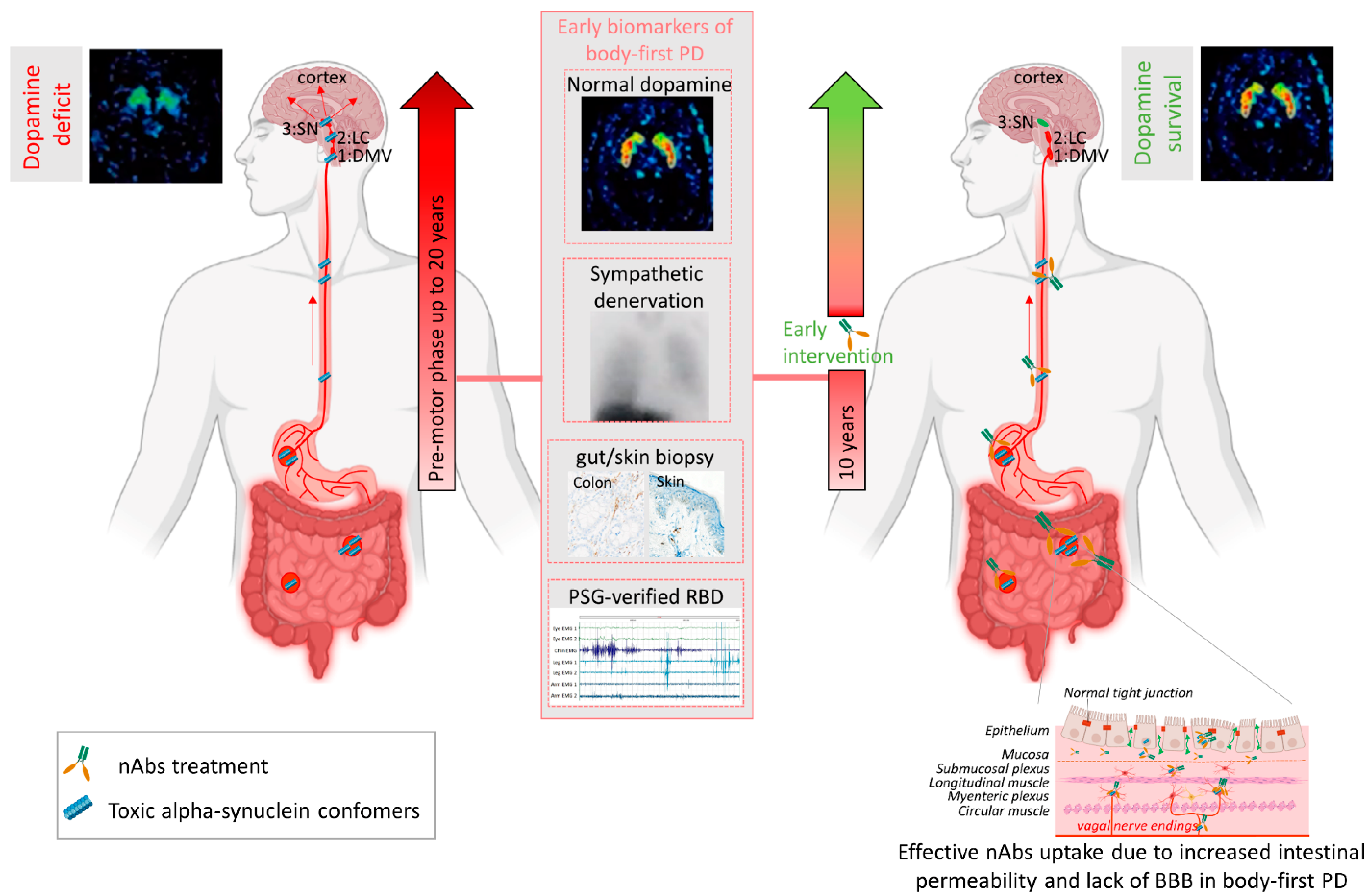 Biomolecules 12 00168 g002