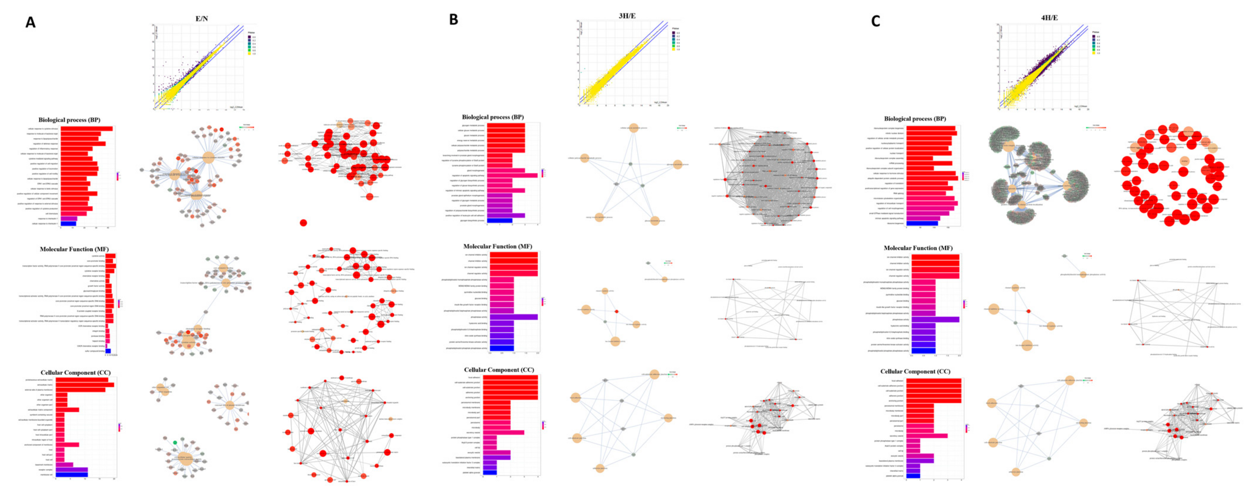 Biomolecules 12 00177 g002