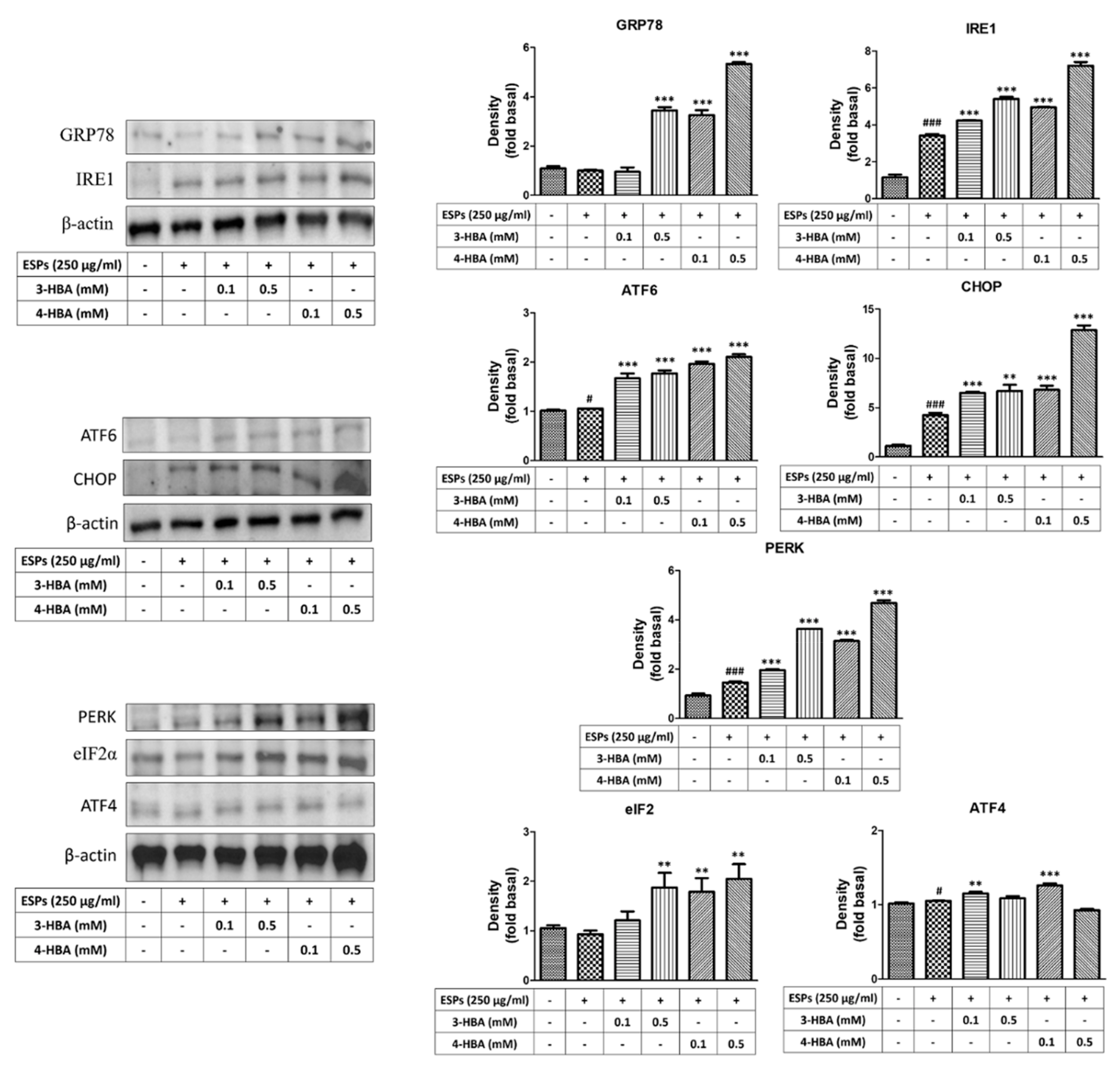 Biomolecules 12 00177 g004