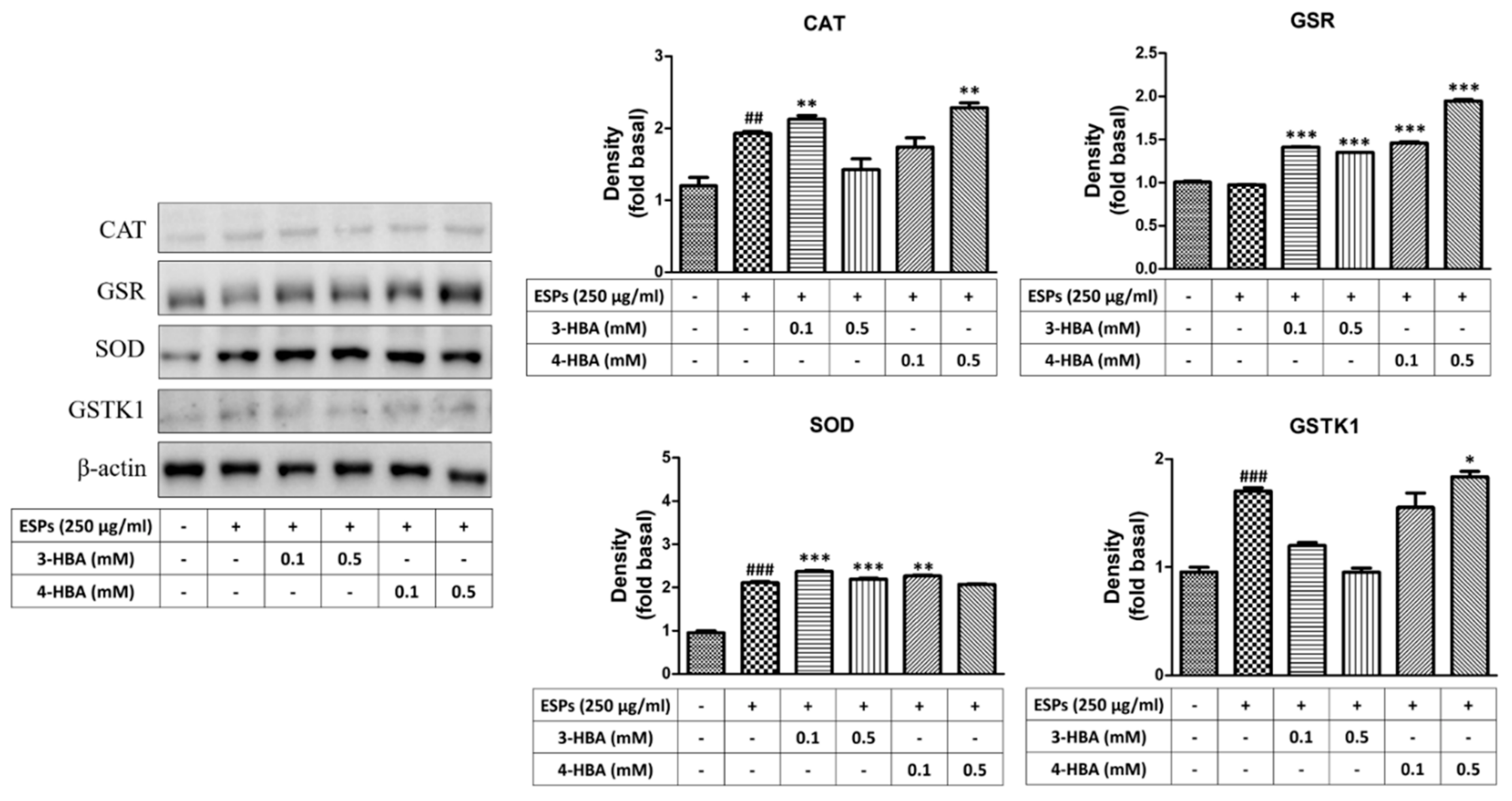 Biomolecules 12 00177 g006
