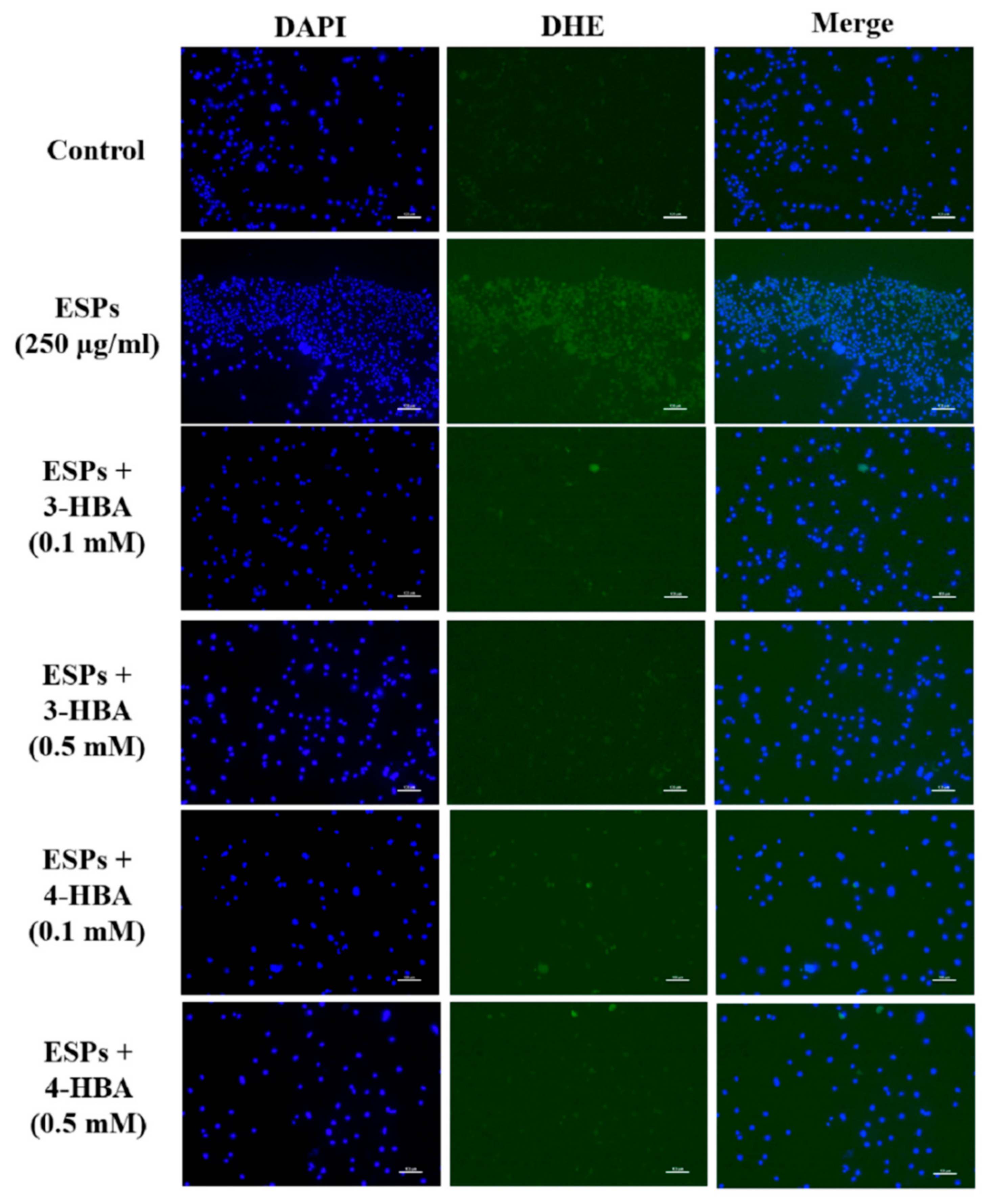 Biomolecules 12 00177 g008