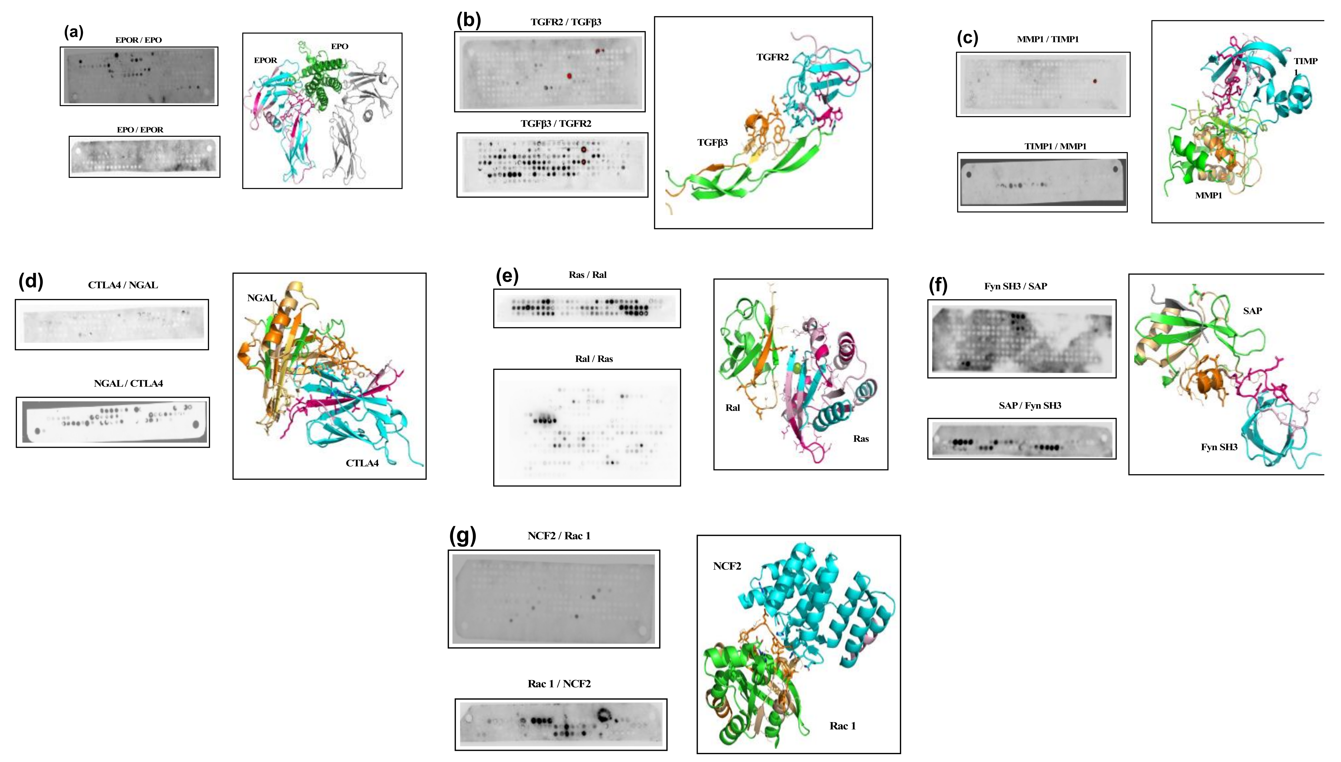 Biomolecules 12 00178 g001
