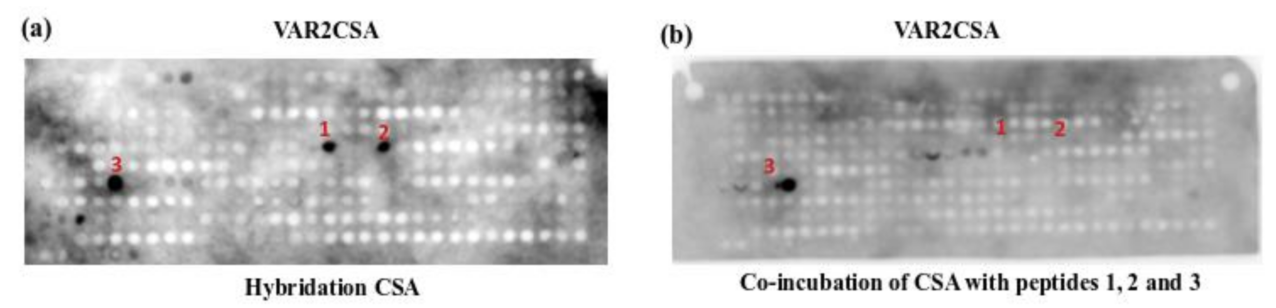 Biomolecules 12 00178 g002