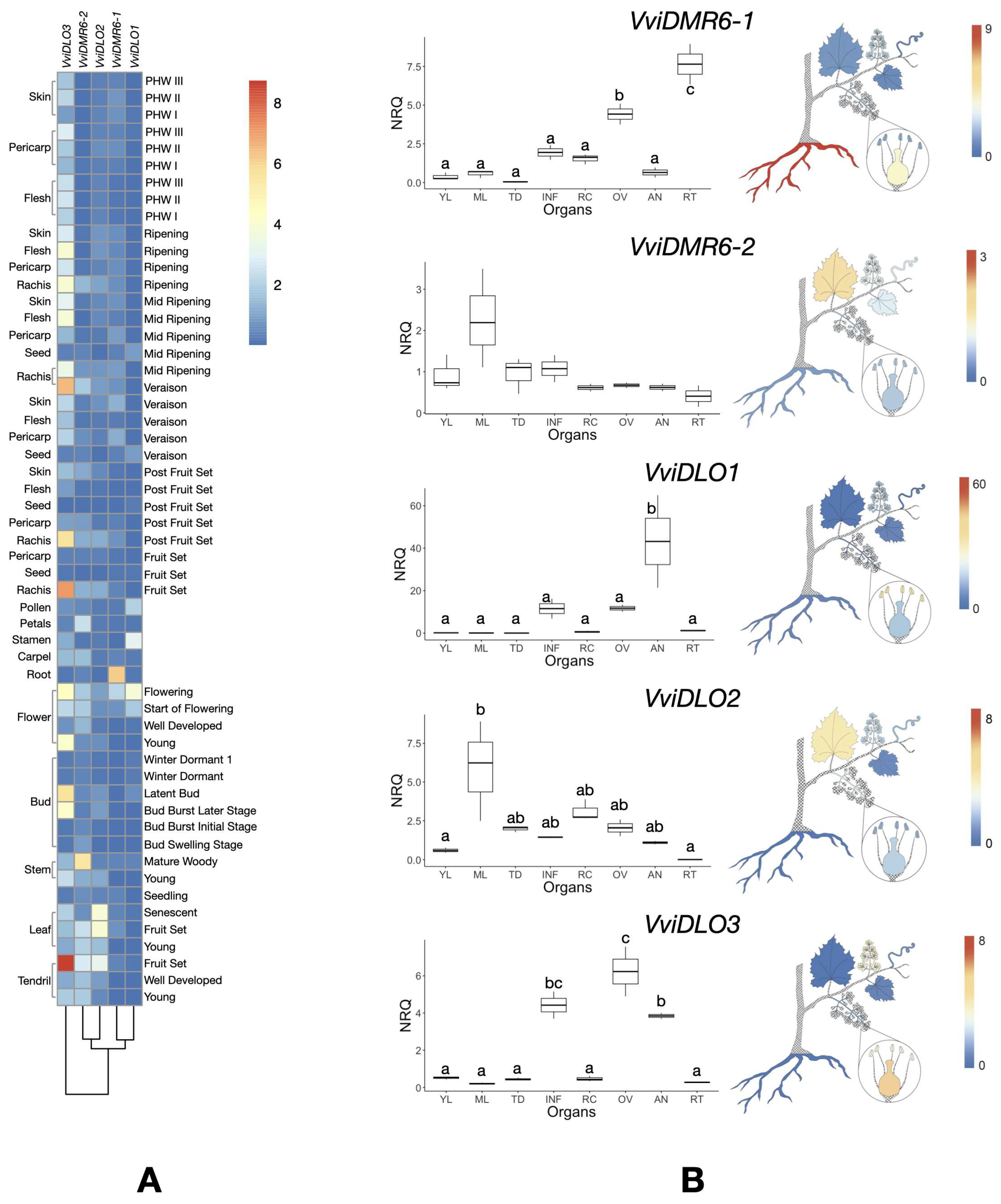 Biomolecules 12 00182 g003