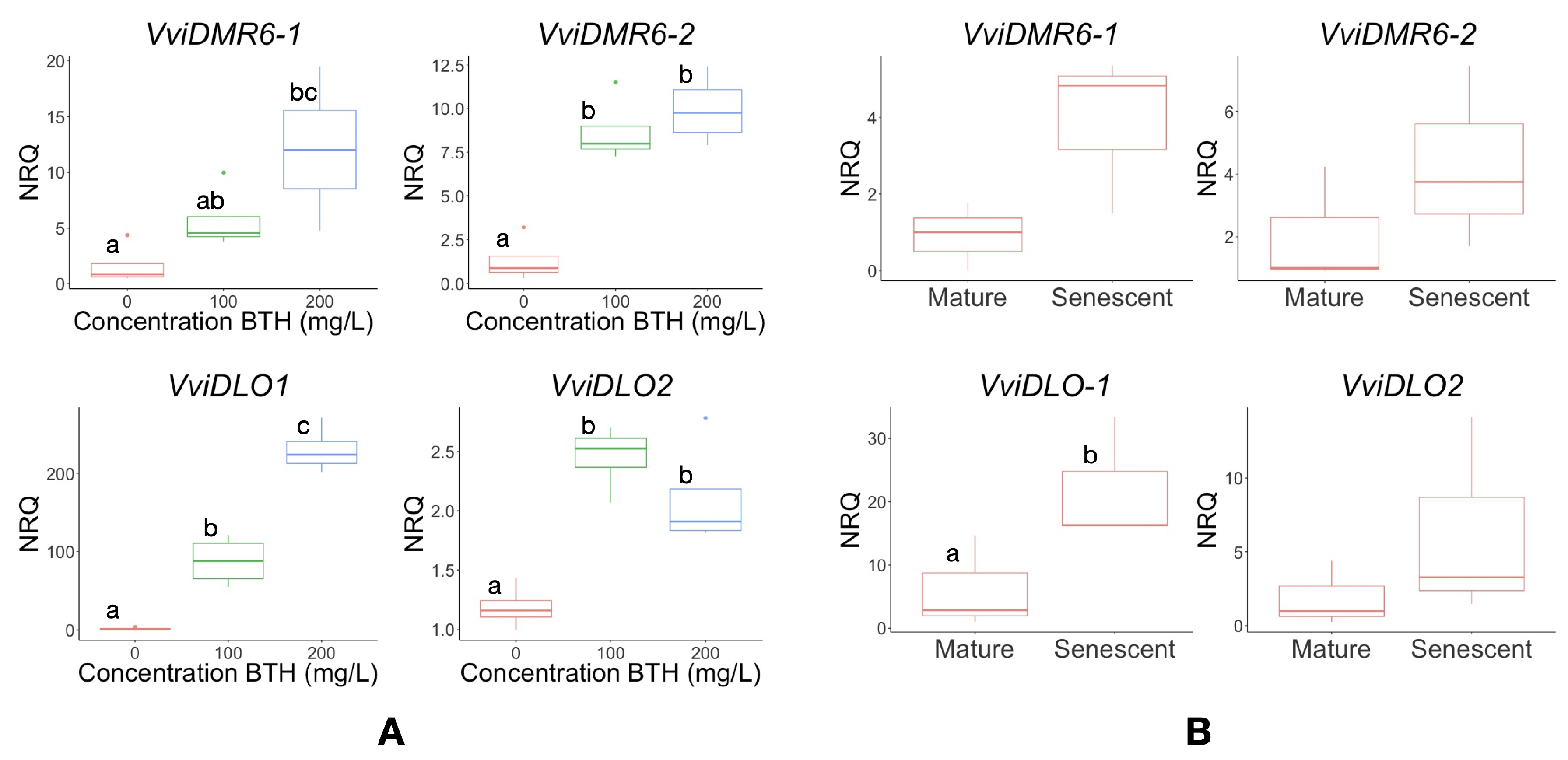 Biomolecules 12 00182 g004