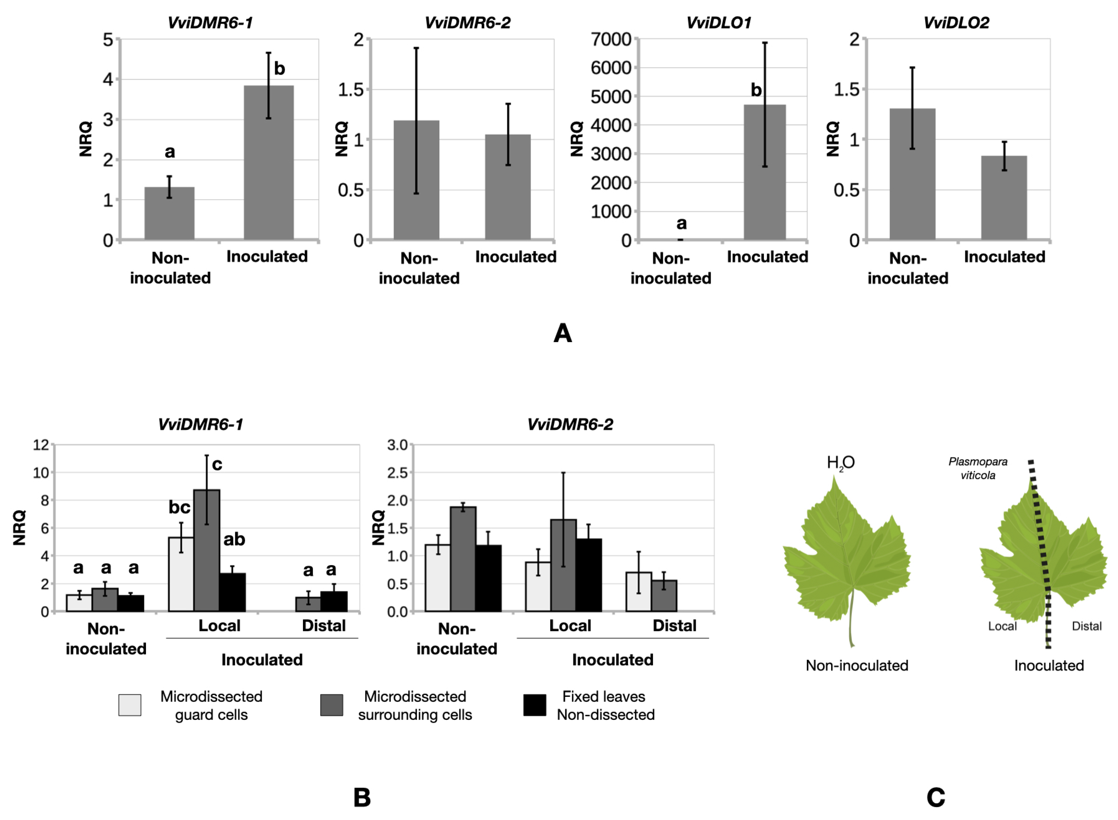 Biomolecules 12 00182 g005