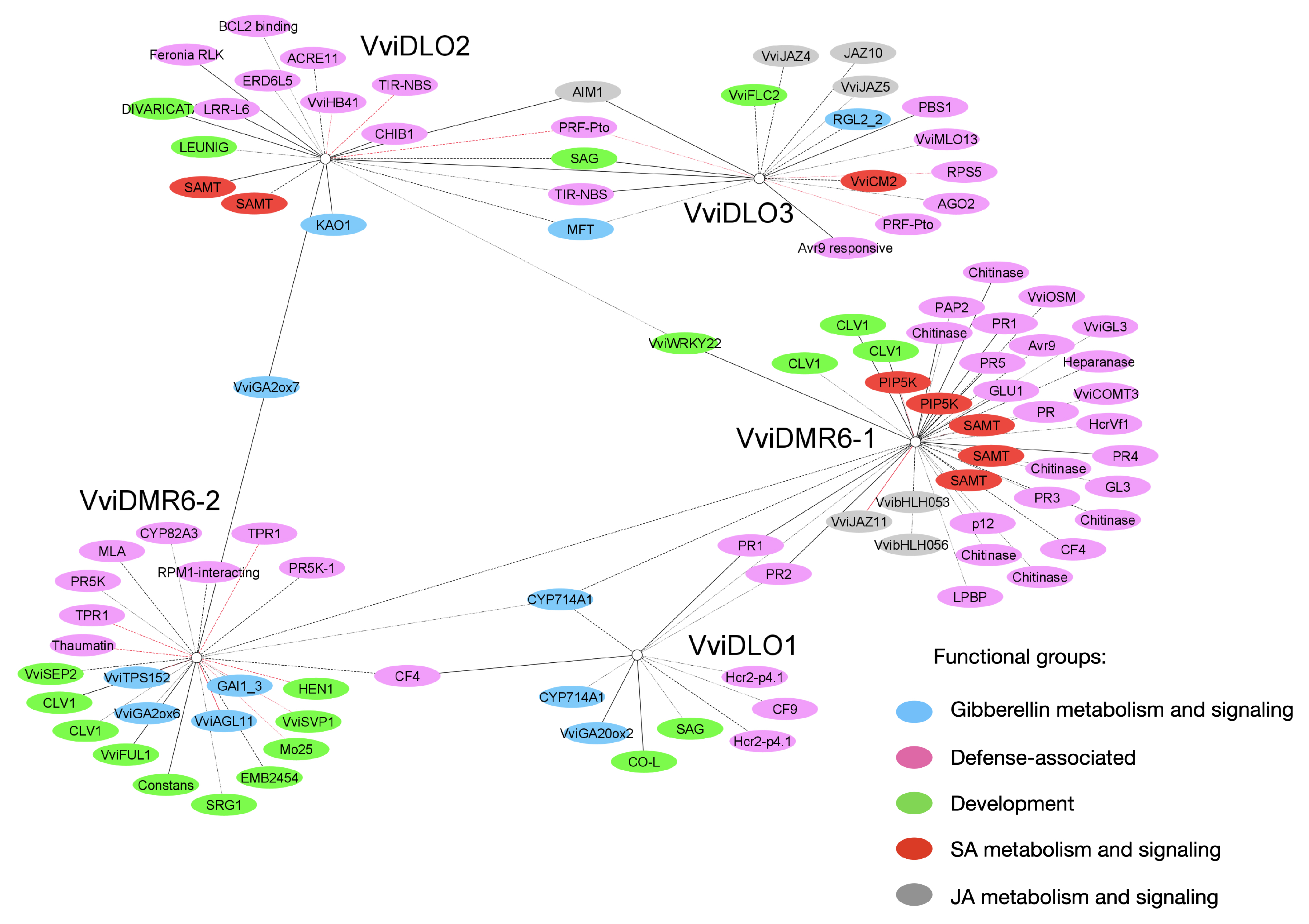 Biomolecules 12 00182 g007