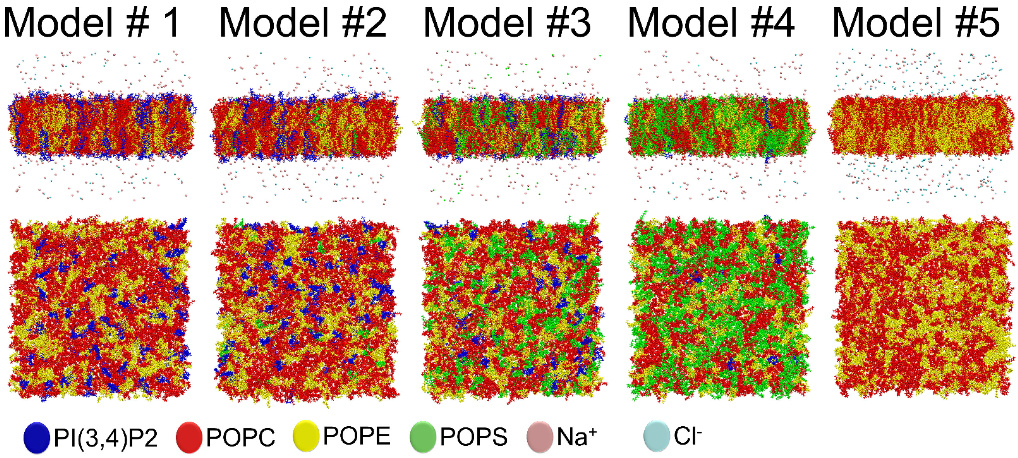 Biomolecules 12 00183 g005