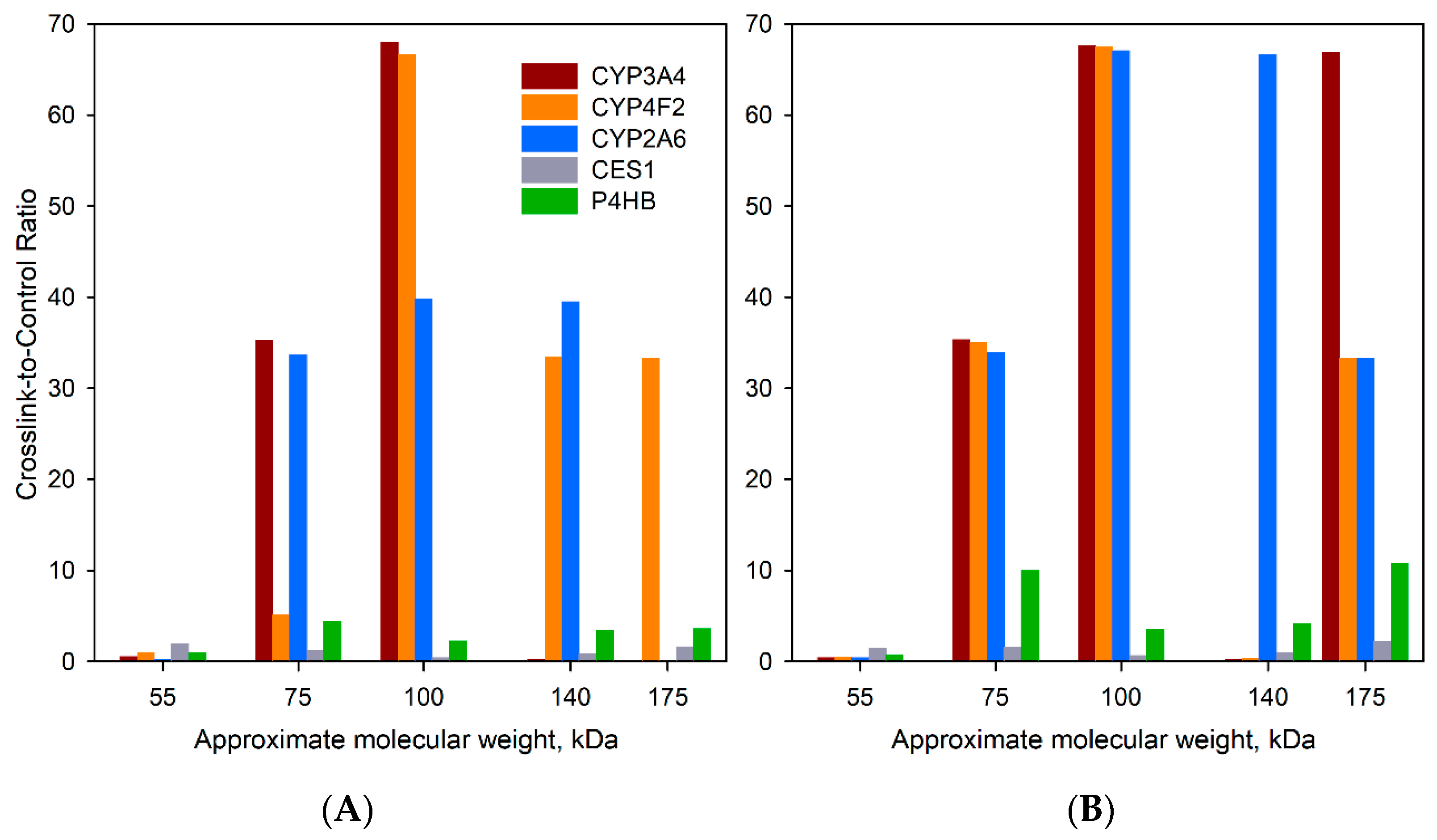 Biomolecules 12 00185 g005 Biomolecules 12 00185 g005