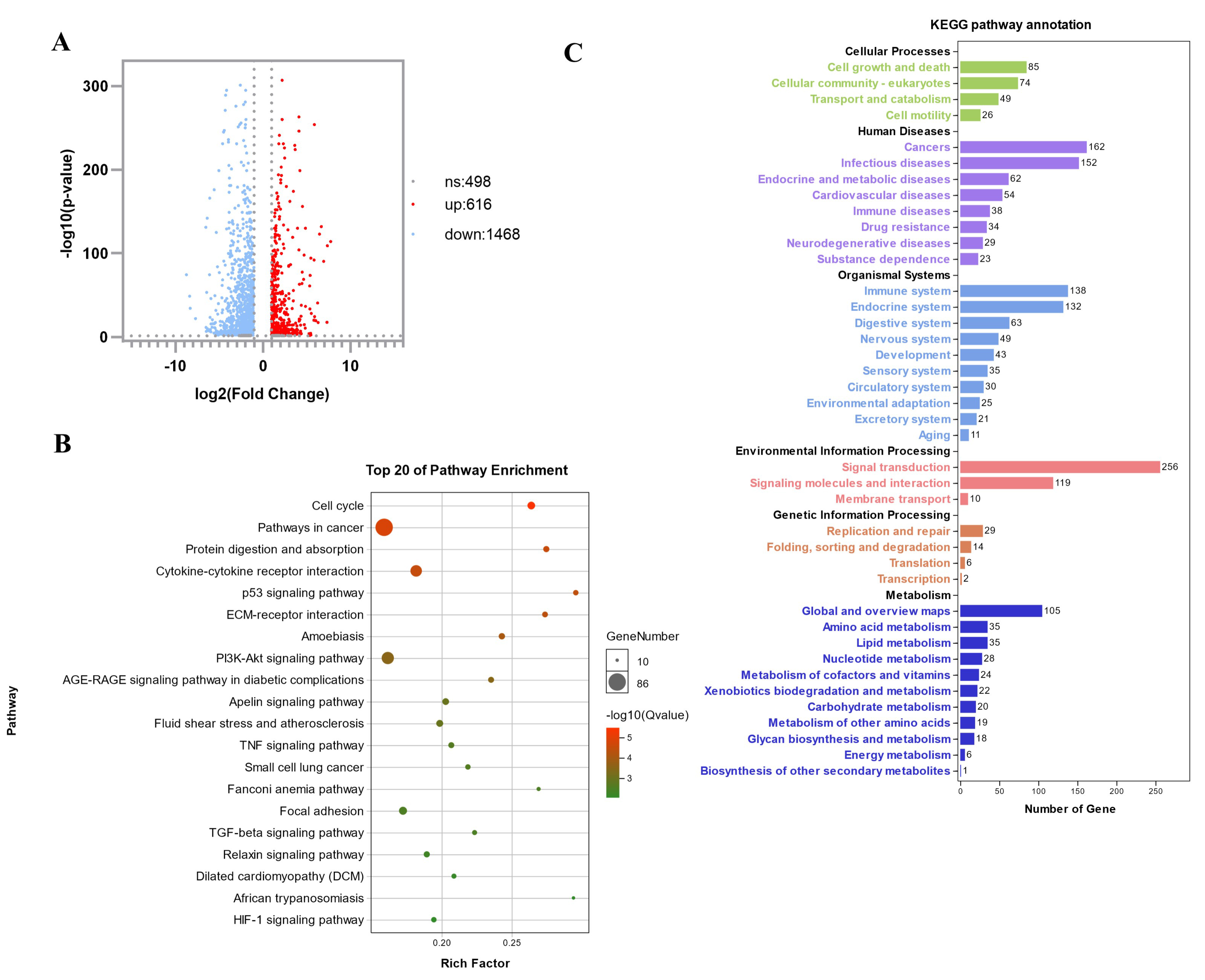 Biomolecules 12 00191 g002