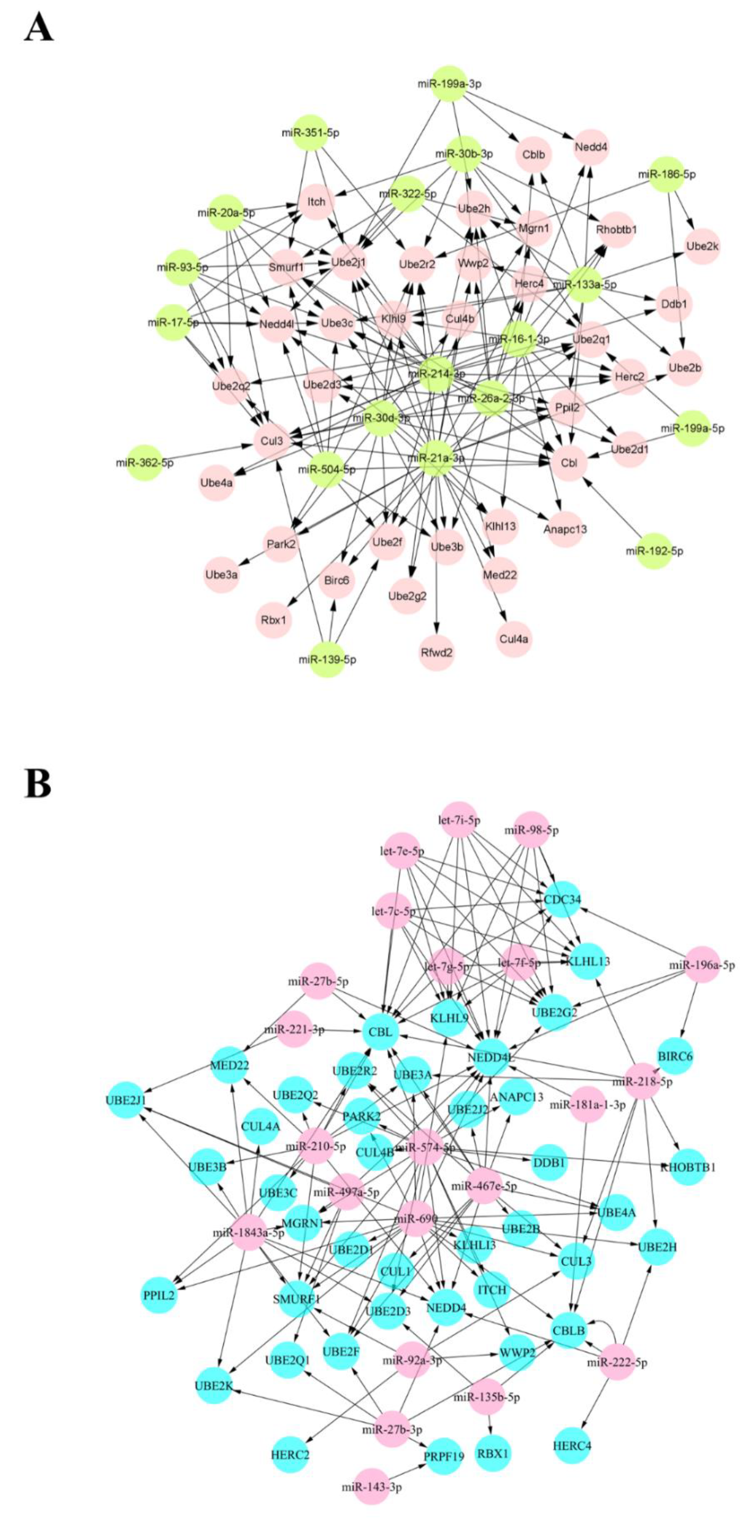 Biomolecules 12 00191 g003