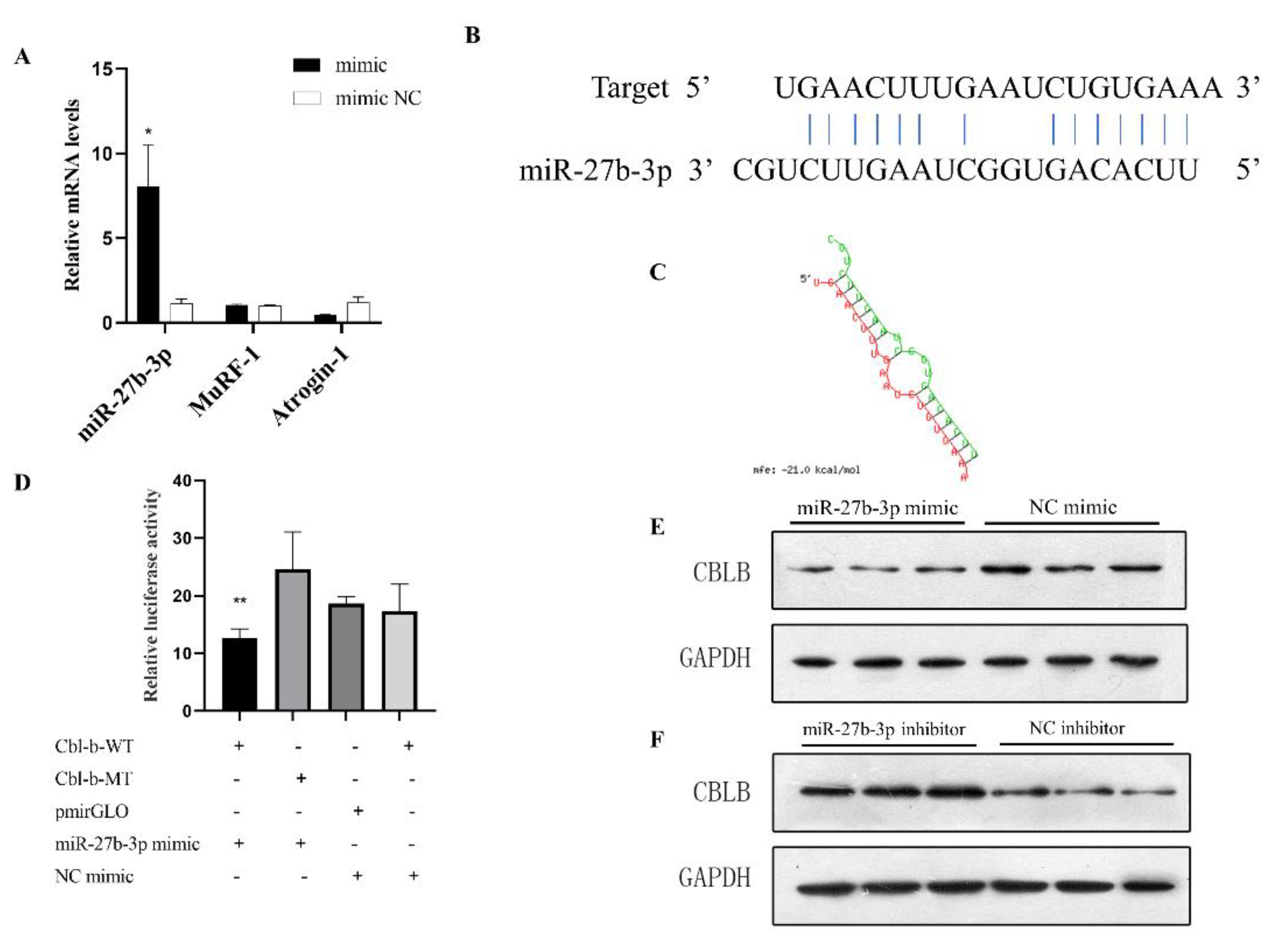 Biomolecules 12 00191 g004