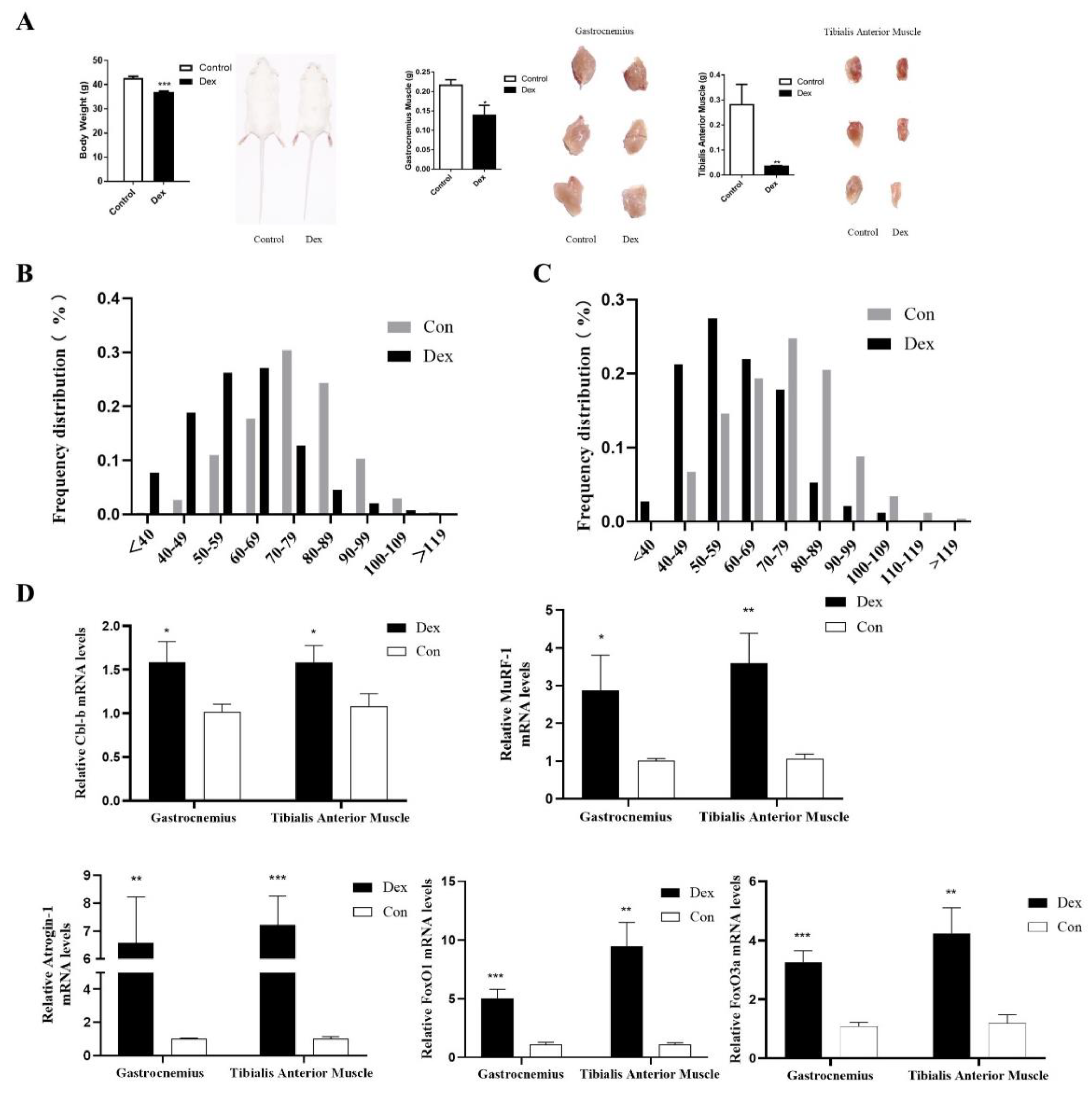 Biomolecules 12 00191 g005