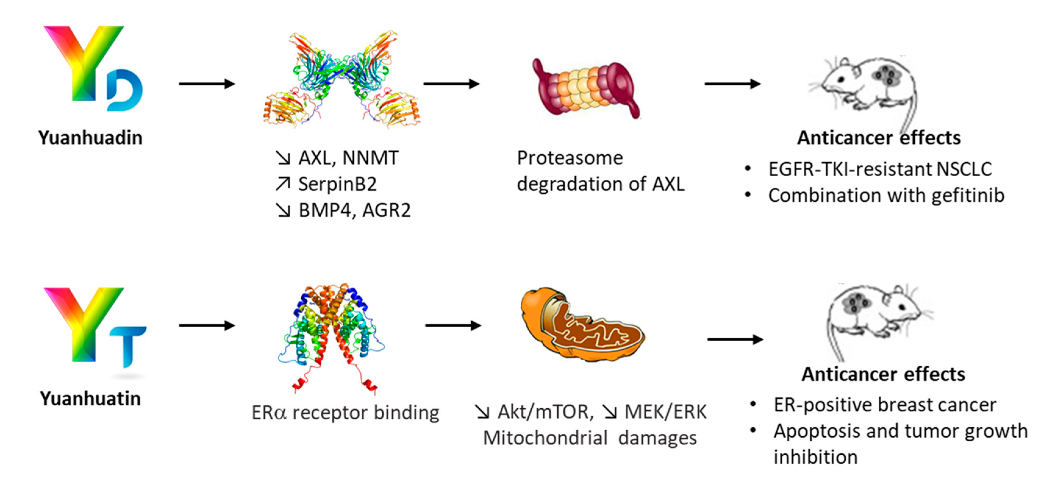 Biomolecules 12 00192 g005 Biomolecules 12 00192 g005