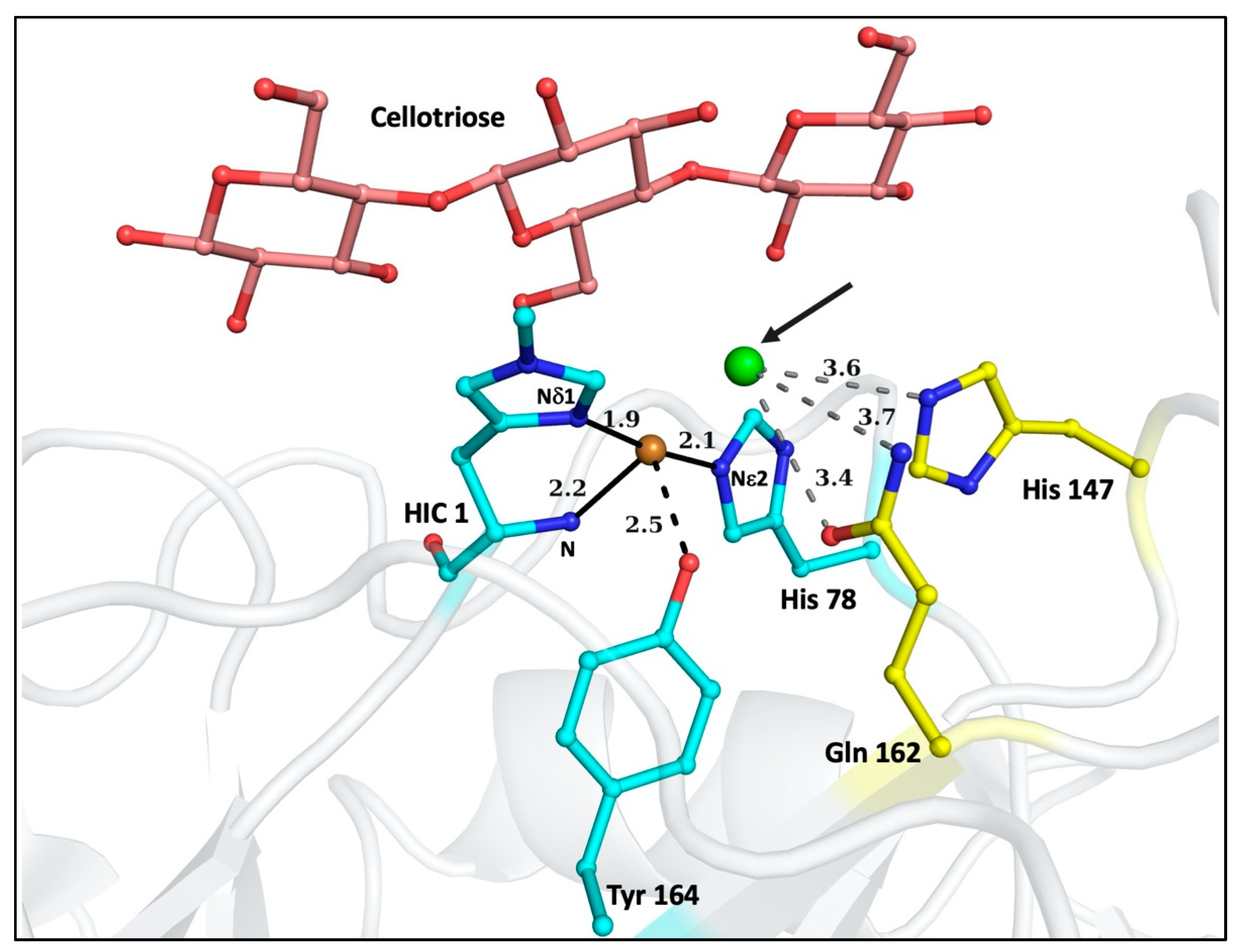 Biomolecules 12 00194 g001