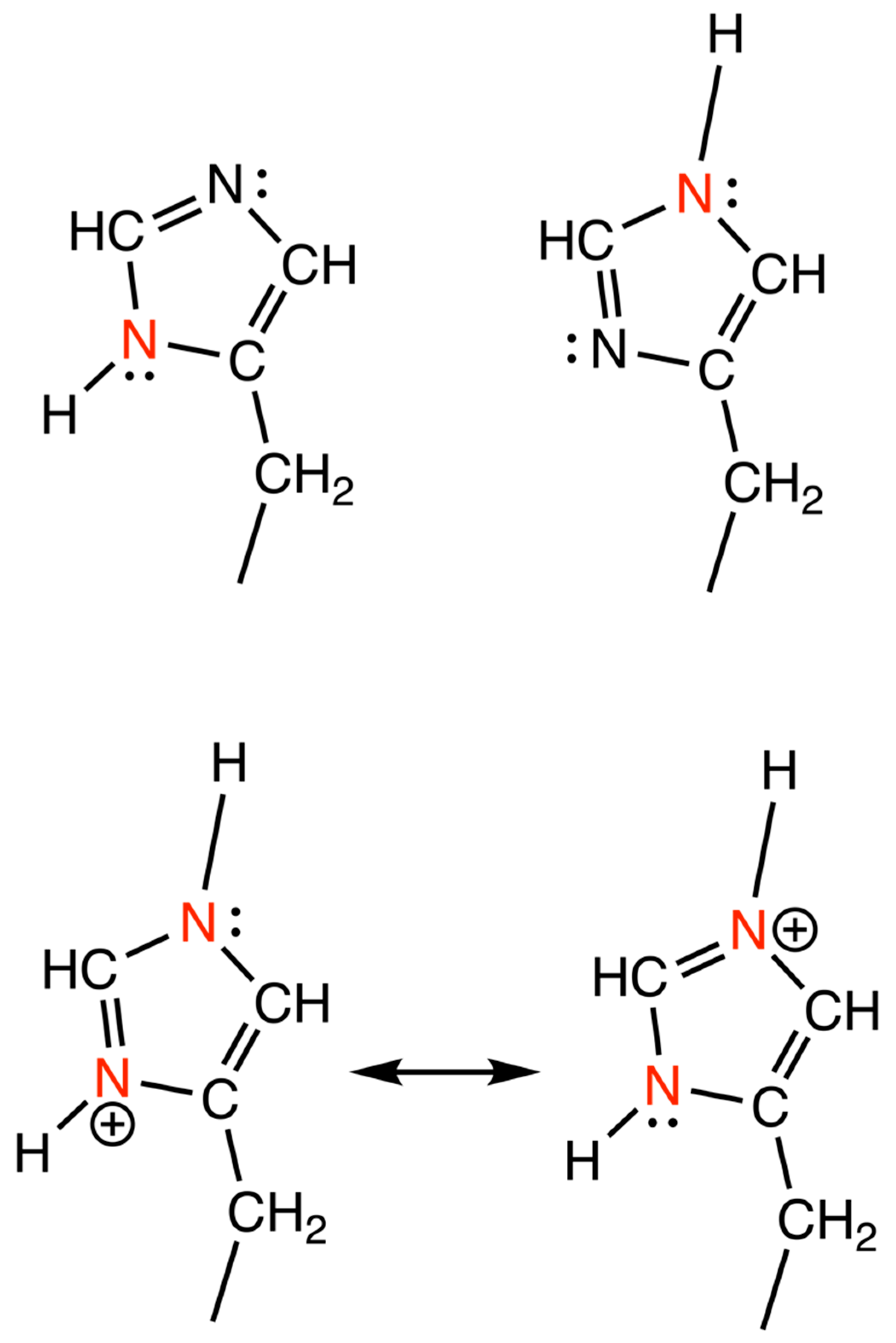 Biomolecules 12 00194 g003