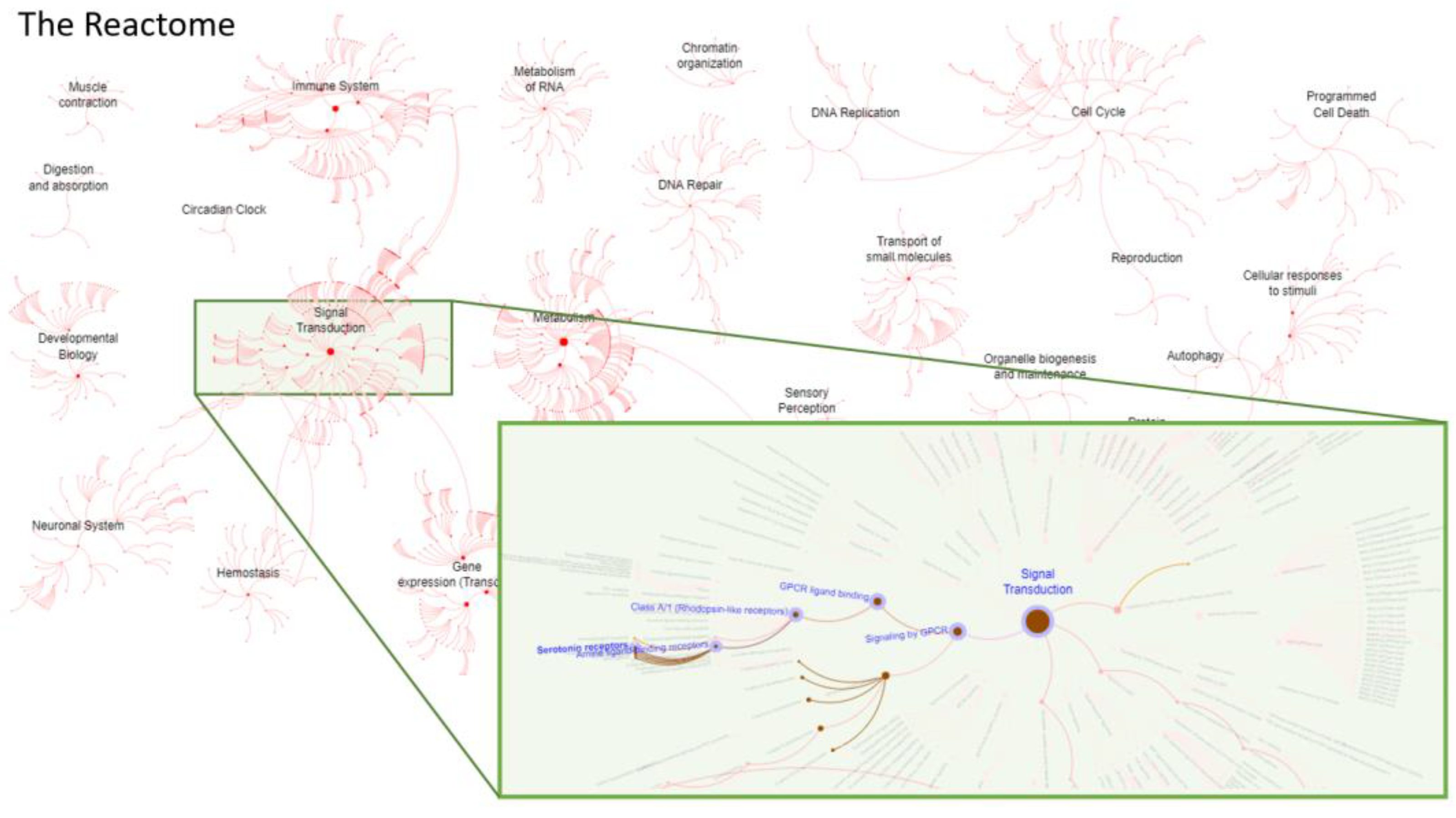 Biomolecules 12 00196 g004