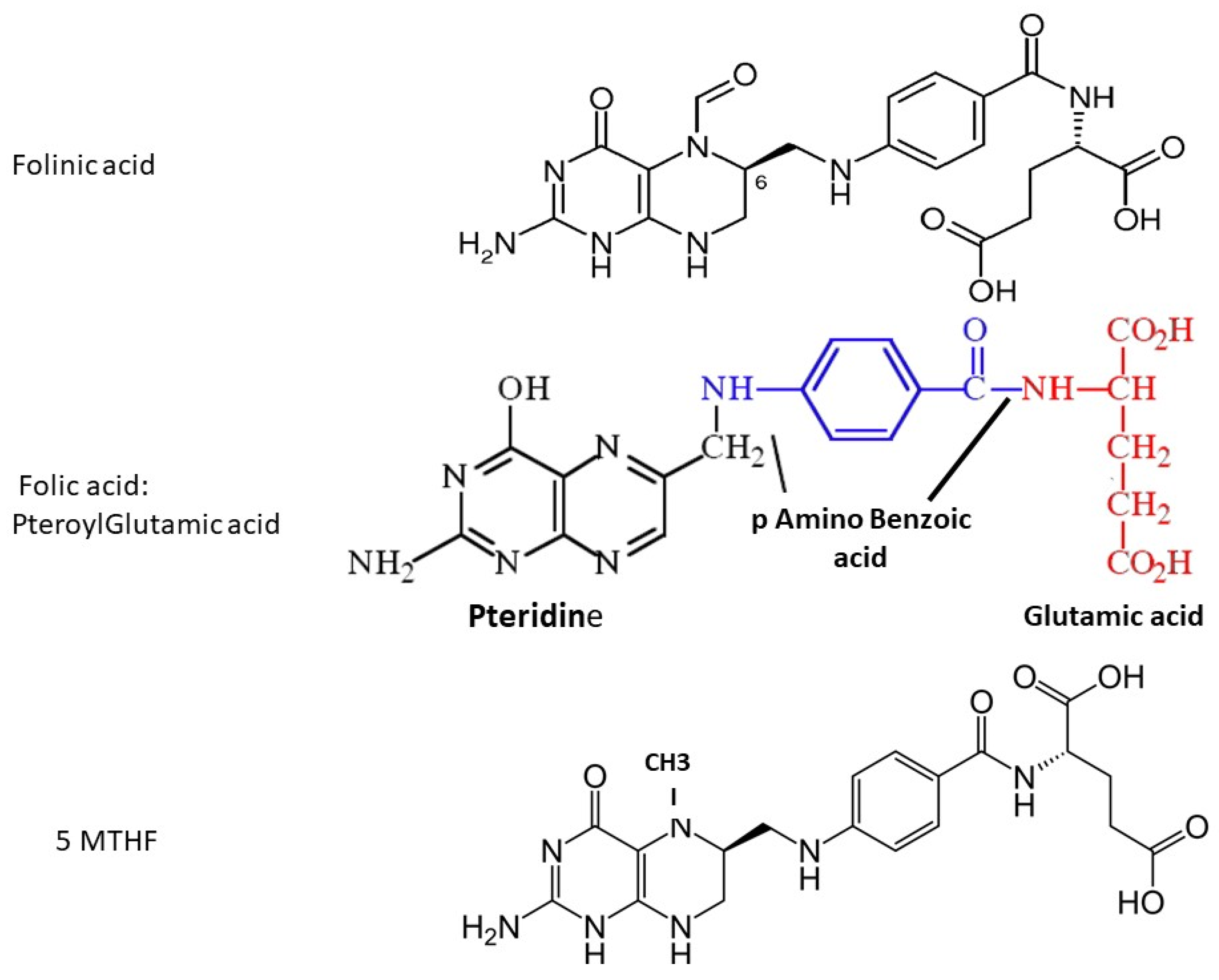 Biomolecules 12 00197 g001