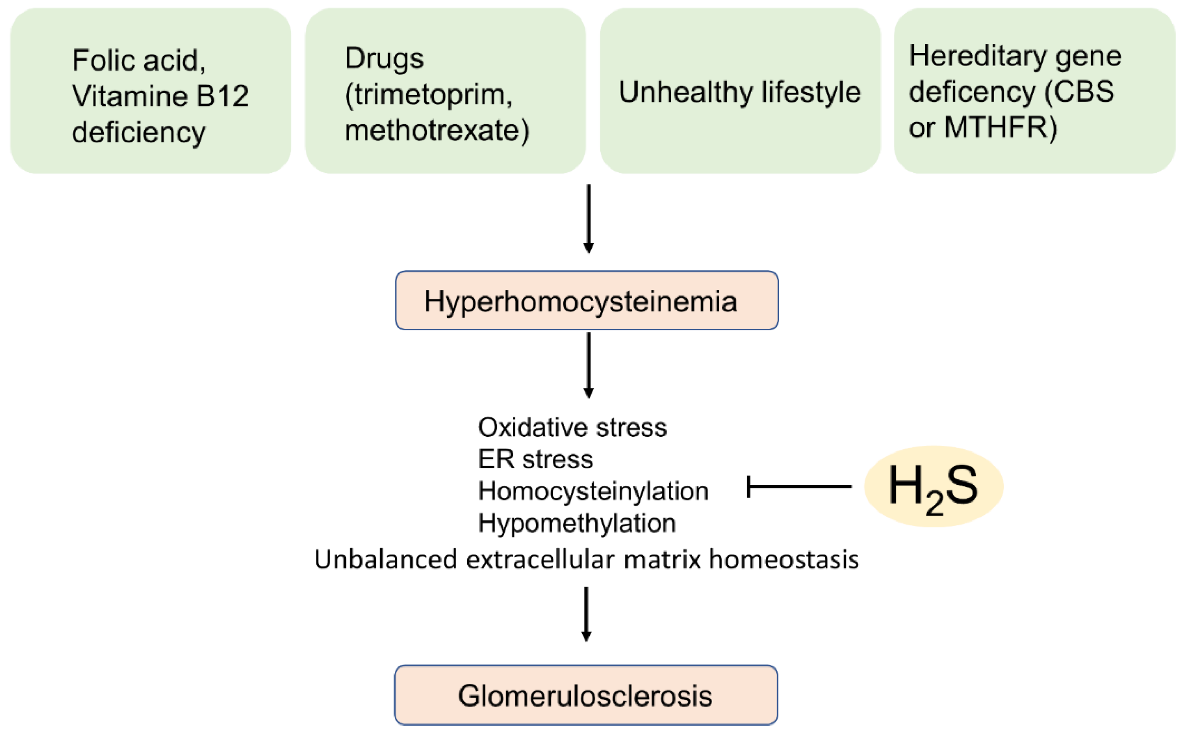 Biomolecules 12 00207 g004