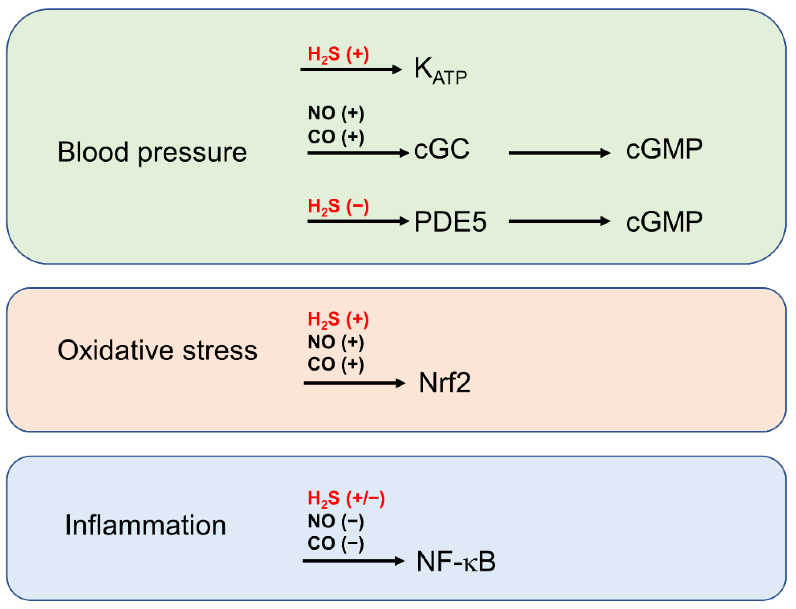 Biomolecules 12 00207 g005