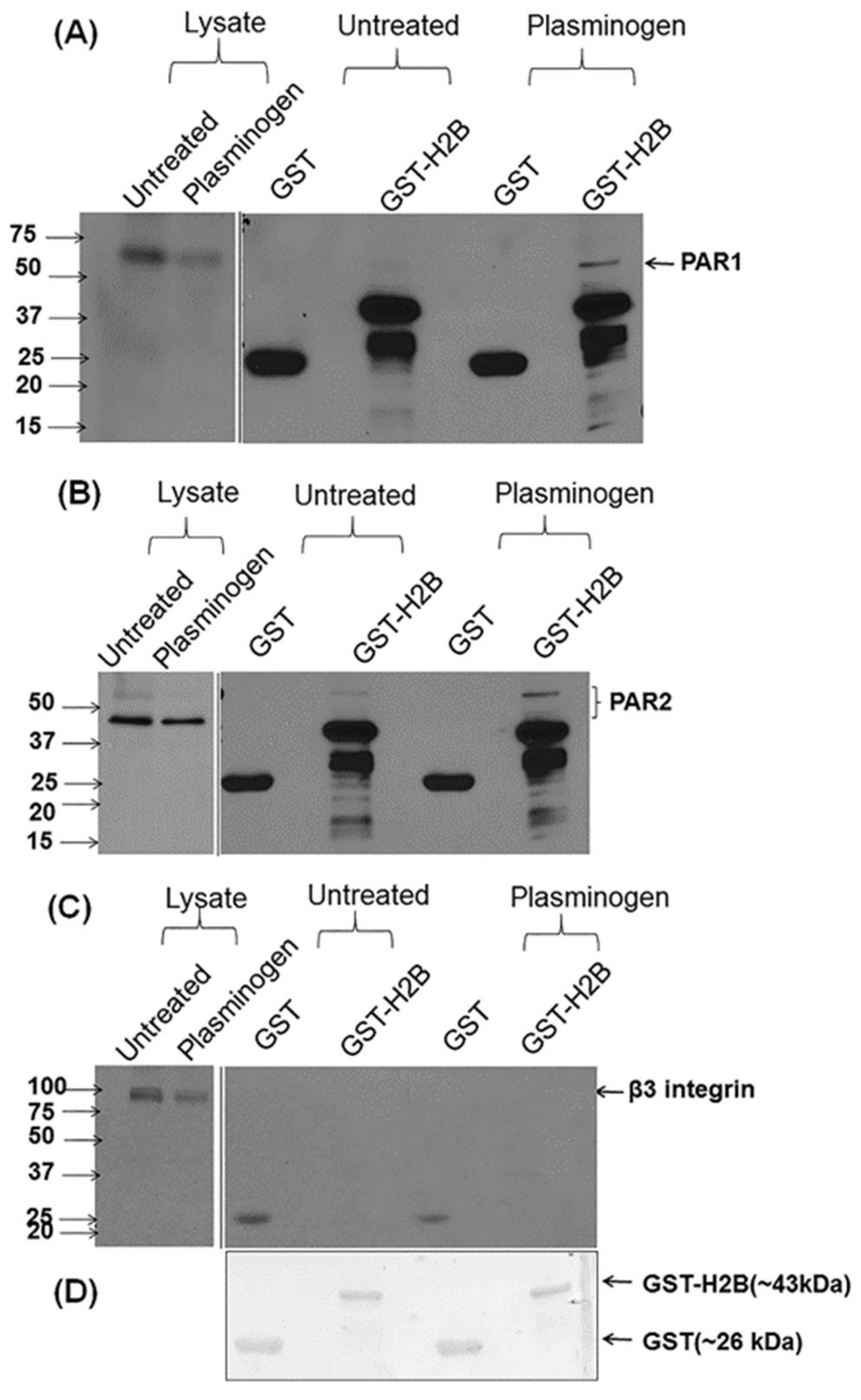 Biomolecules 12 00211 g004