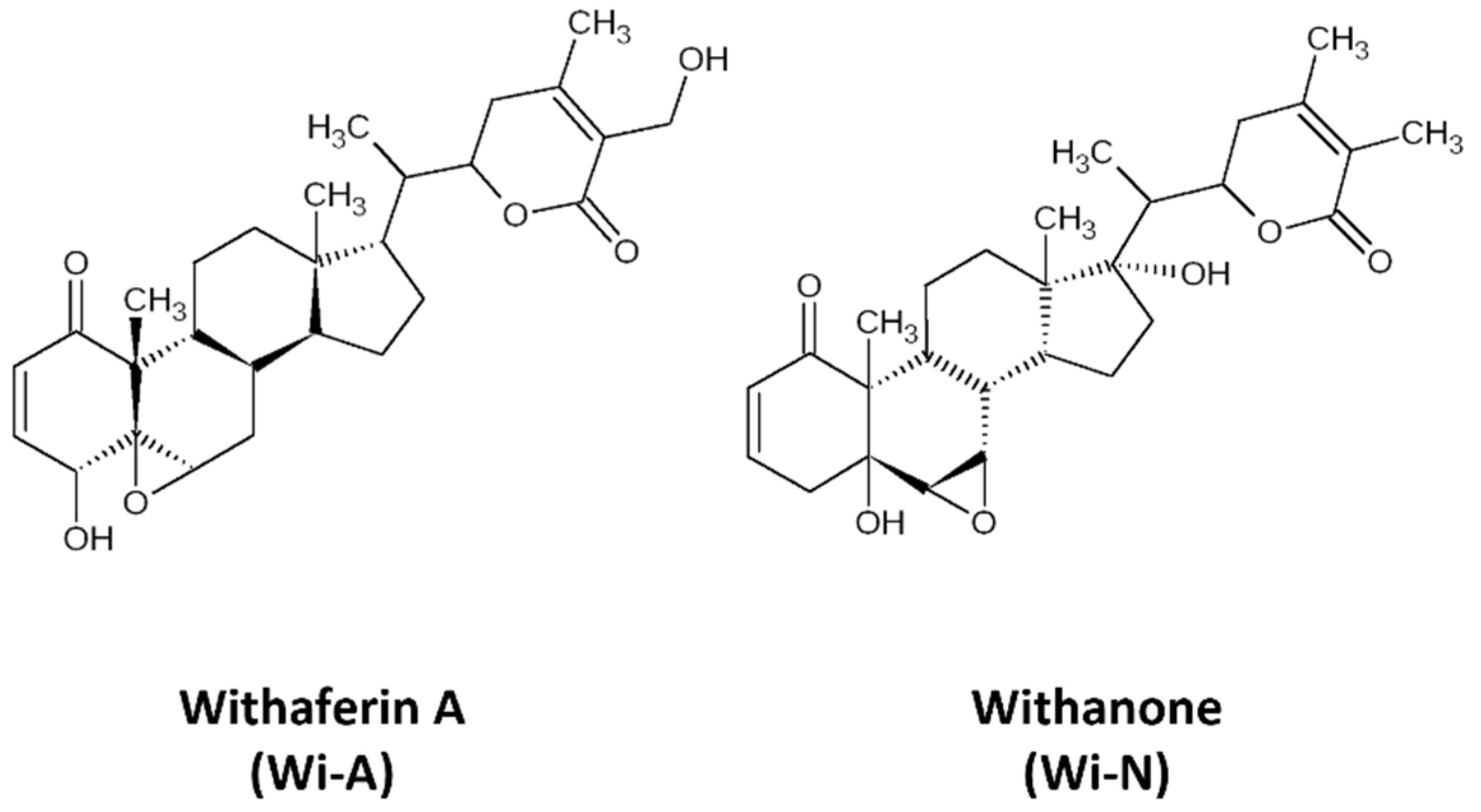 Biomolecules 12 00212 g001