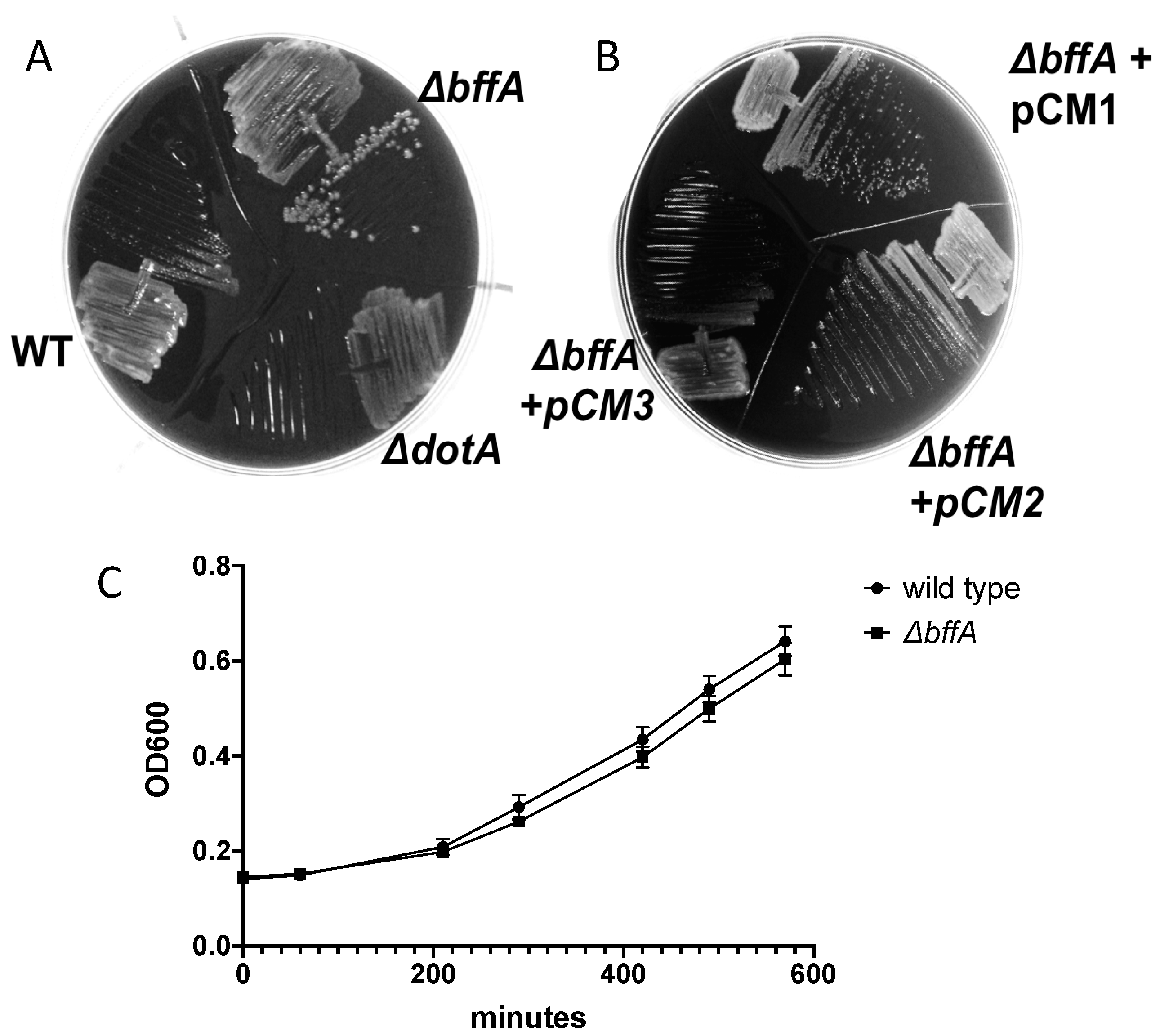 Biomolecules 12 00225 g001