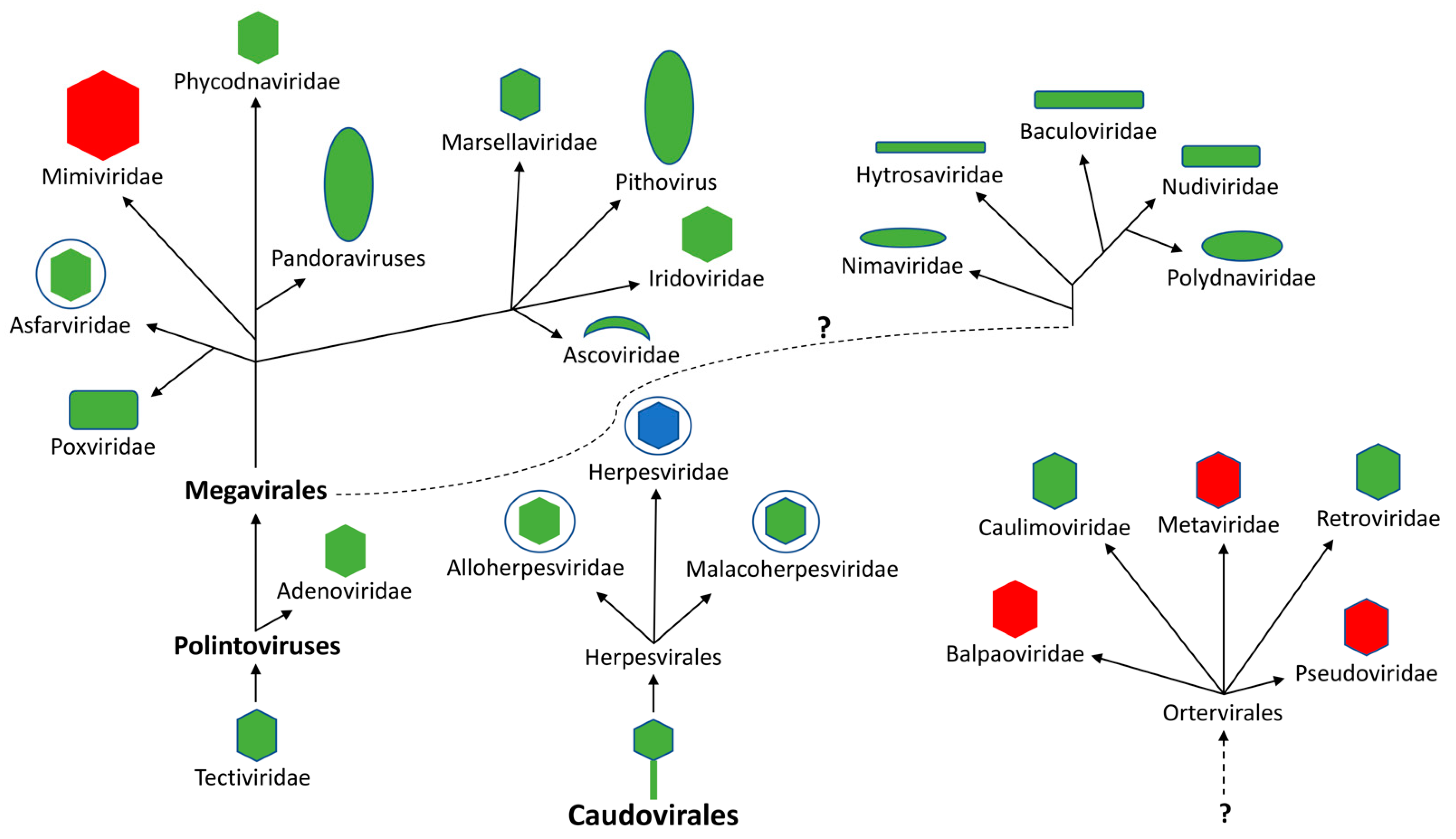 Biomolecules 12 00227 g001