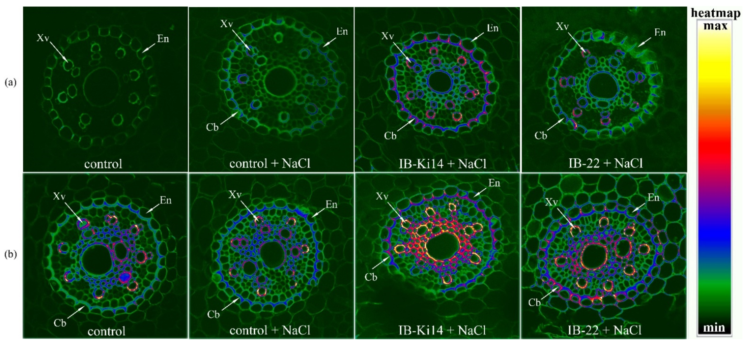Biomolecules 12 00230 g001