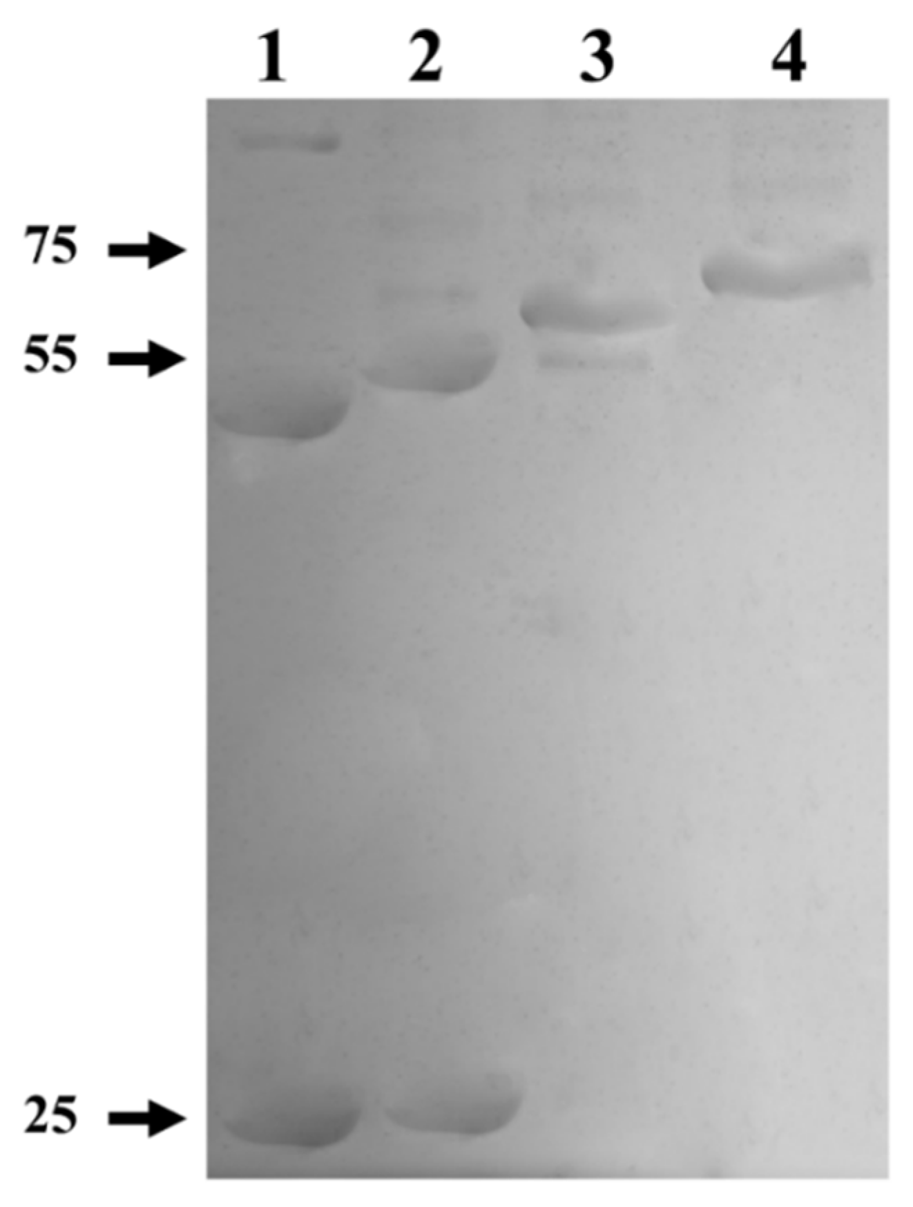 Biomolecules 12 00233 g006