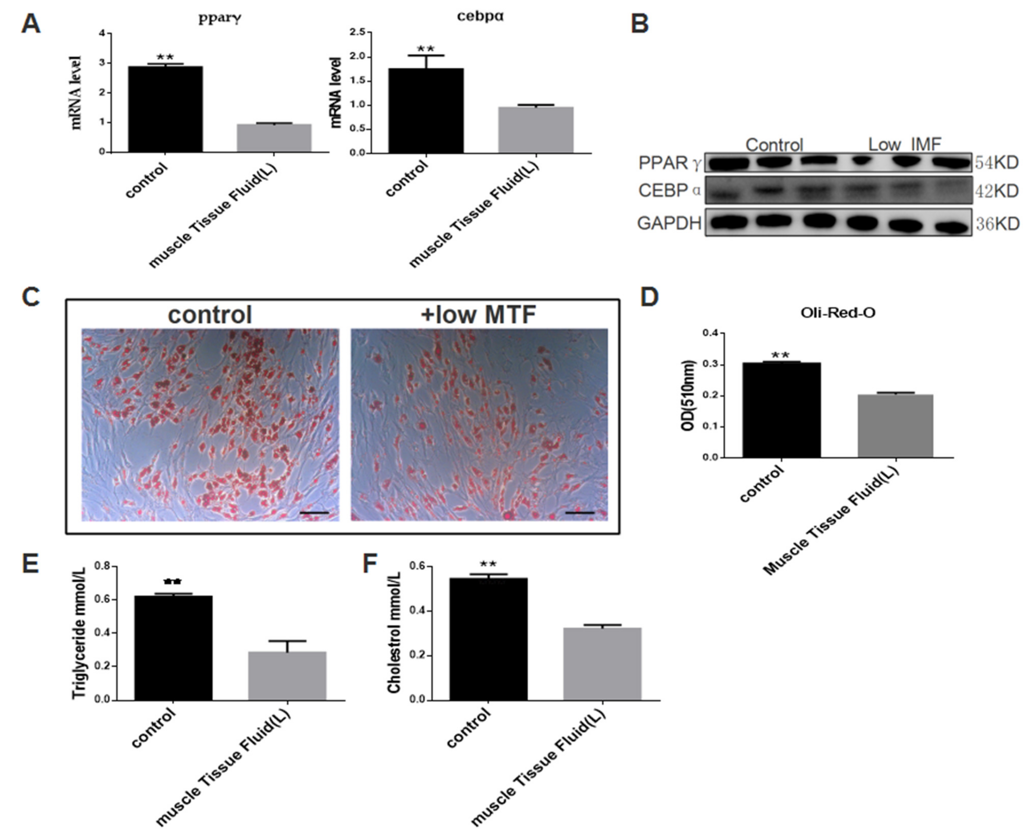 Biomolecules 12 00237 g001