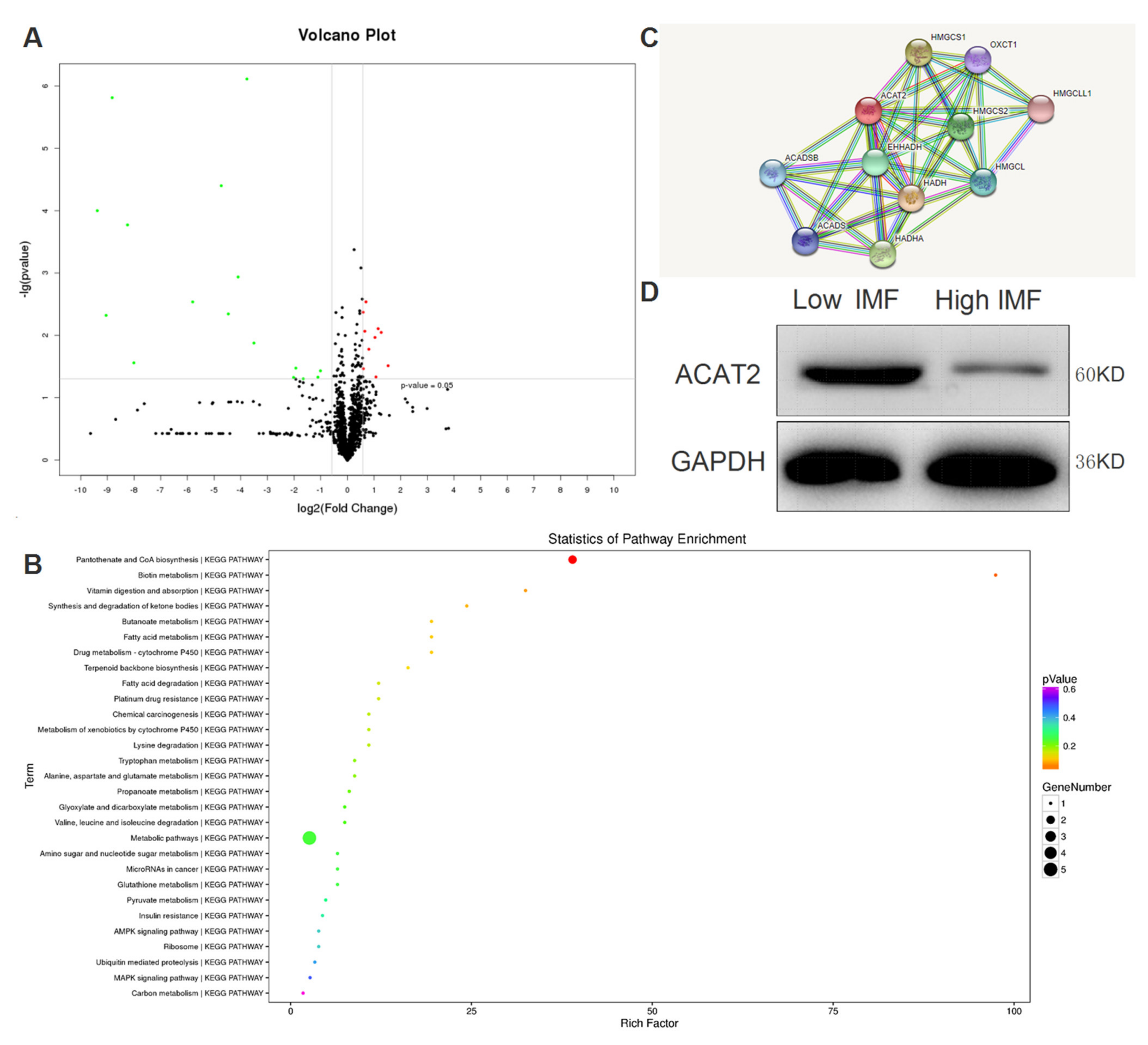 Biomolecules 12 00237 g002