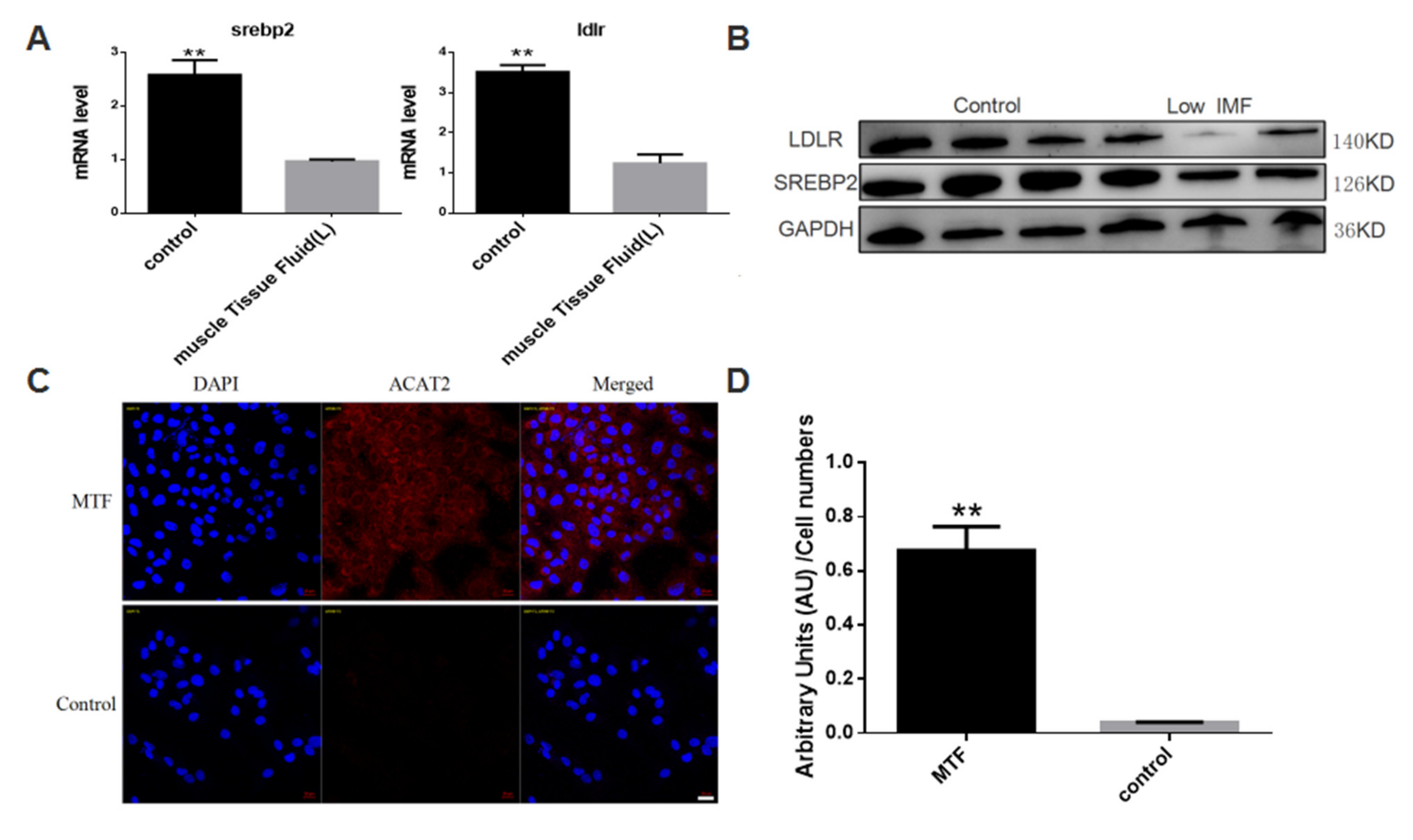 Biomolecules 12 00237 g003
